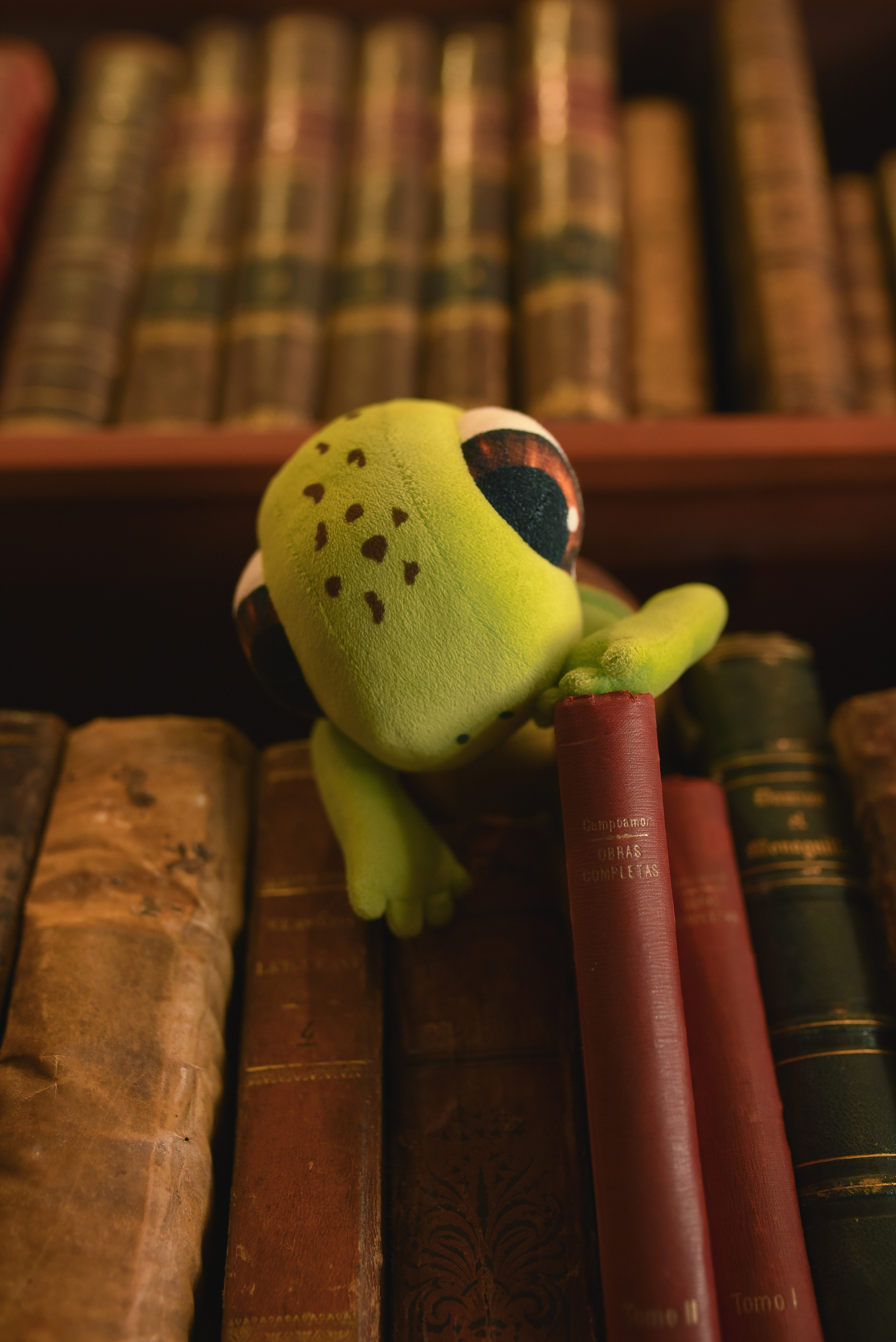 Anna and Noovie. Татьяна Малышева — семейный фотограф и видеограф в Валенсии, Испания