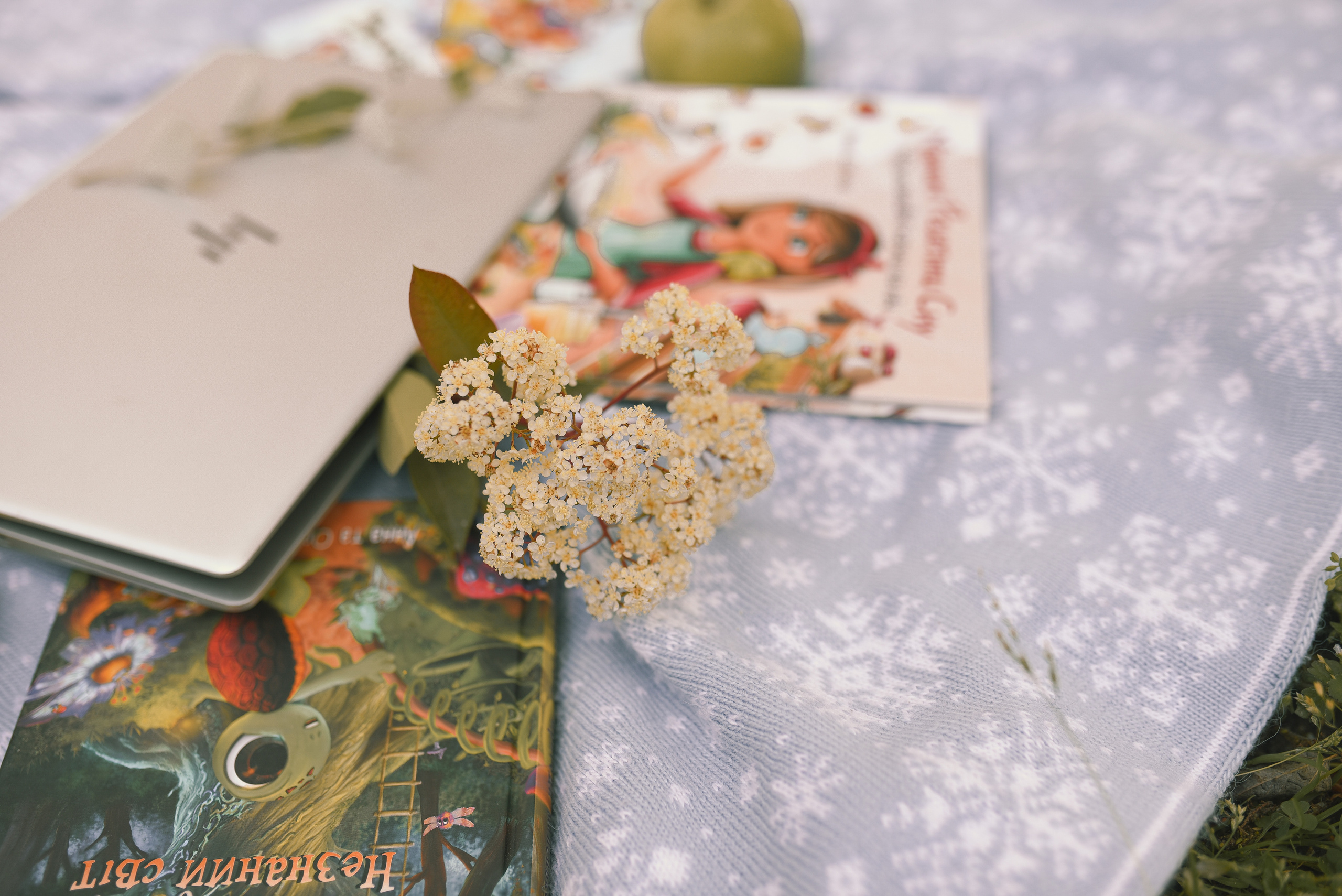 Anna and Noovie. Татьяна Малышева — семейный фотограф и видеограф в Валенсии, Испания