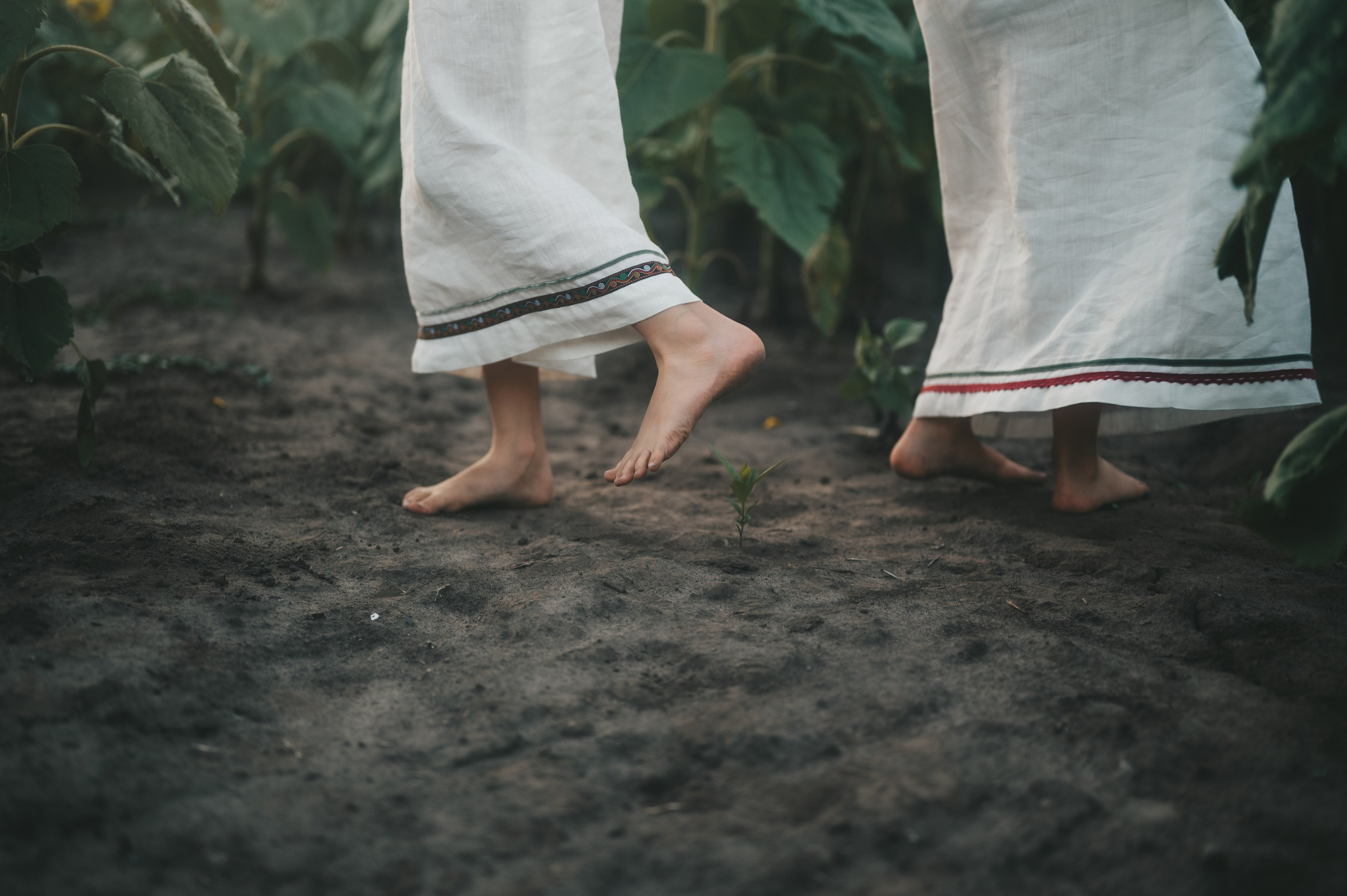Sunflower field. Татьяна Малышева — семейный фотограф и видеограф в Валенсии, Испания