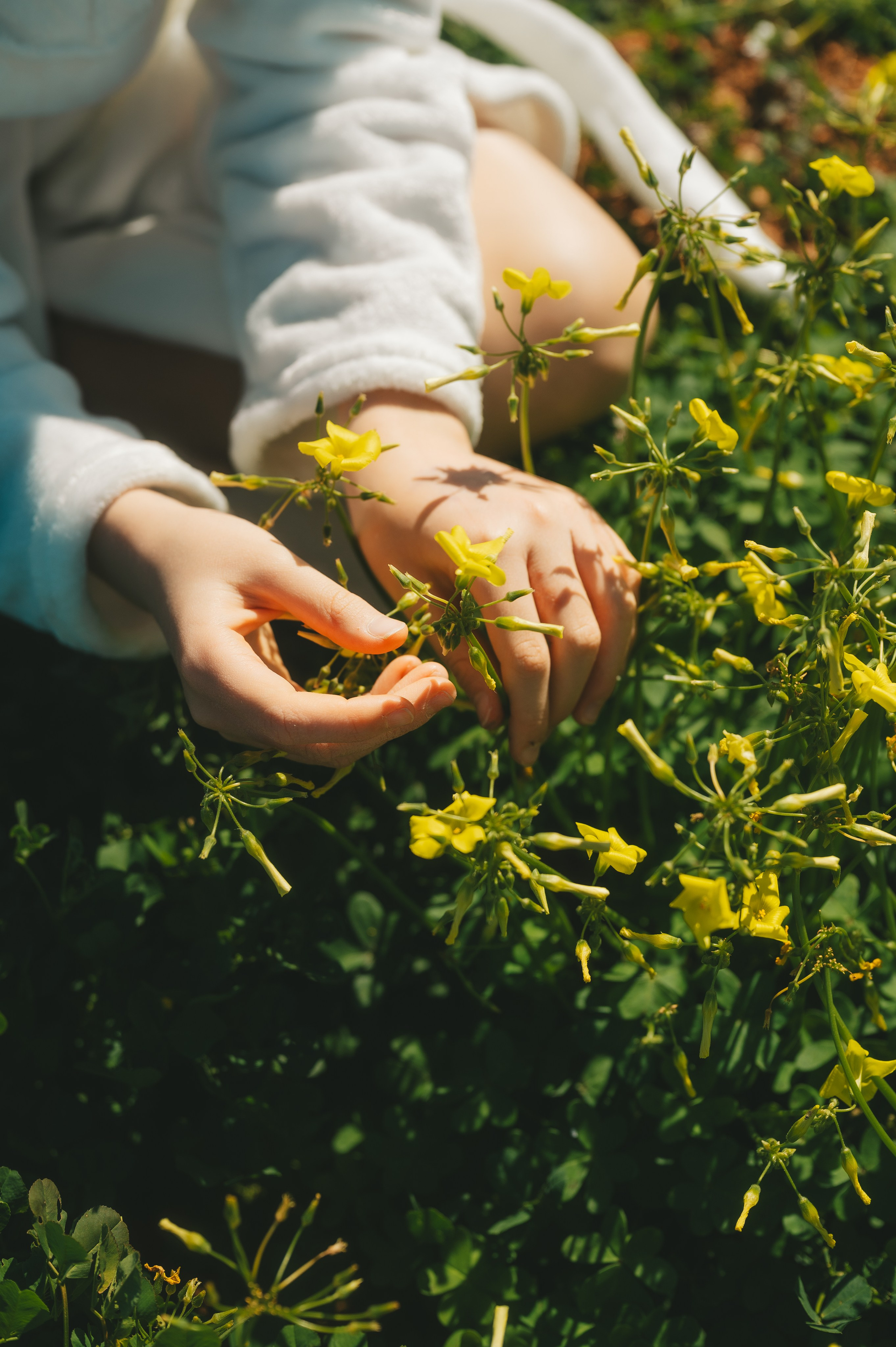Sunshine Catcher. Tatiana Malysheva — lifestyle fotógrafa y videógrafa en Valencia, España
