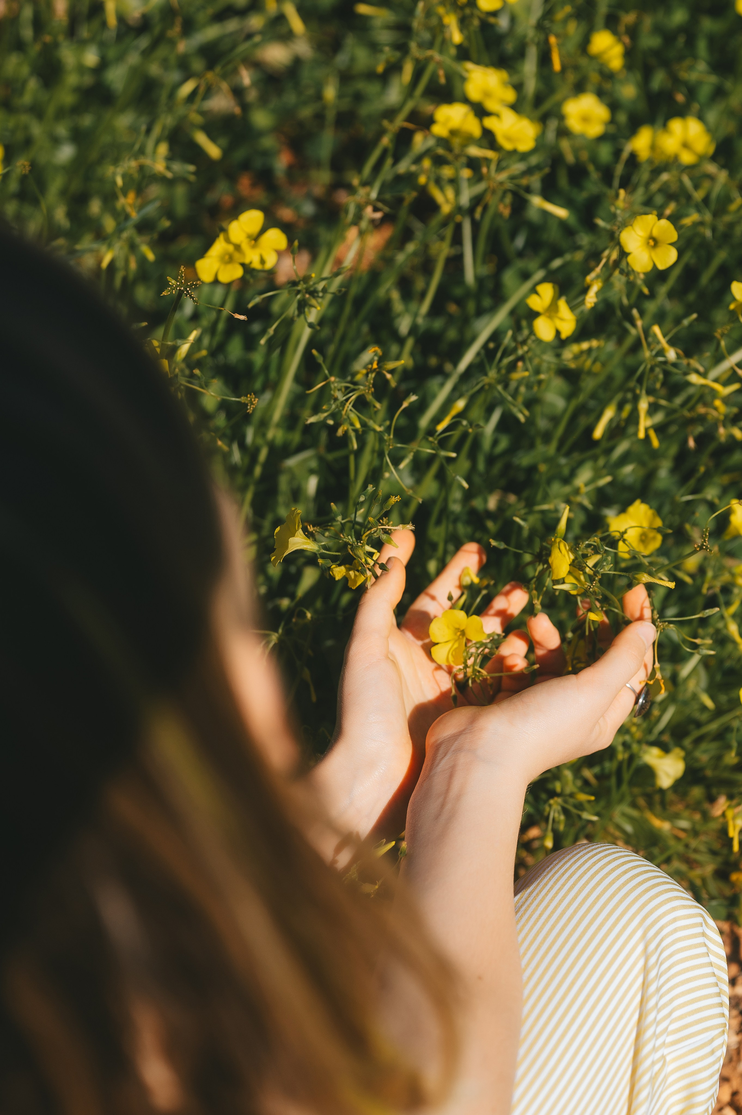 Sunshine Catcher. Tatiana Malysheva — lifestyle fotógrafa y videógrafa en Valencia, España