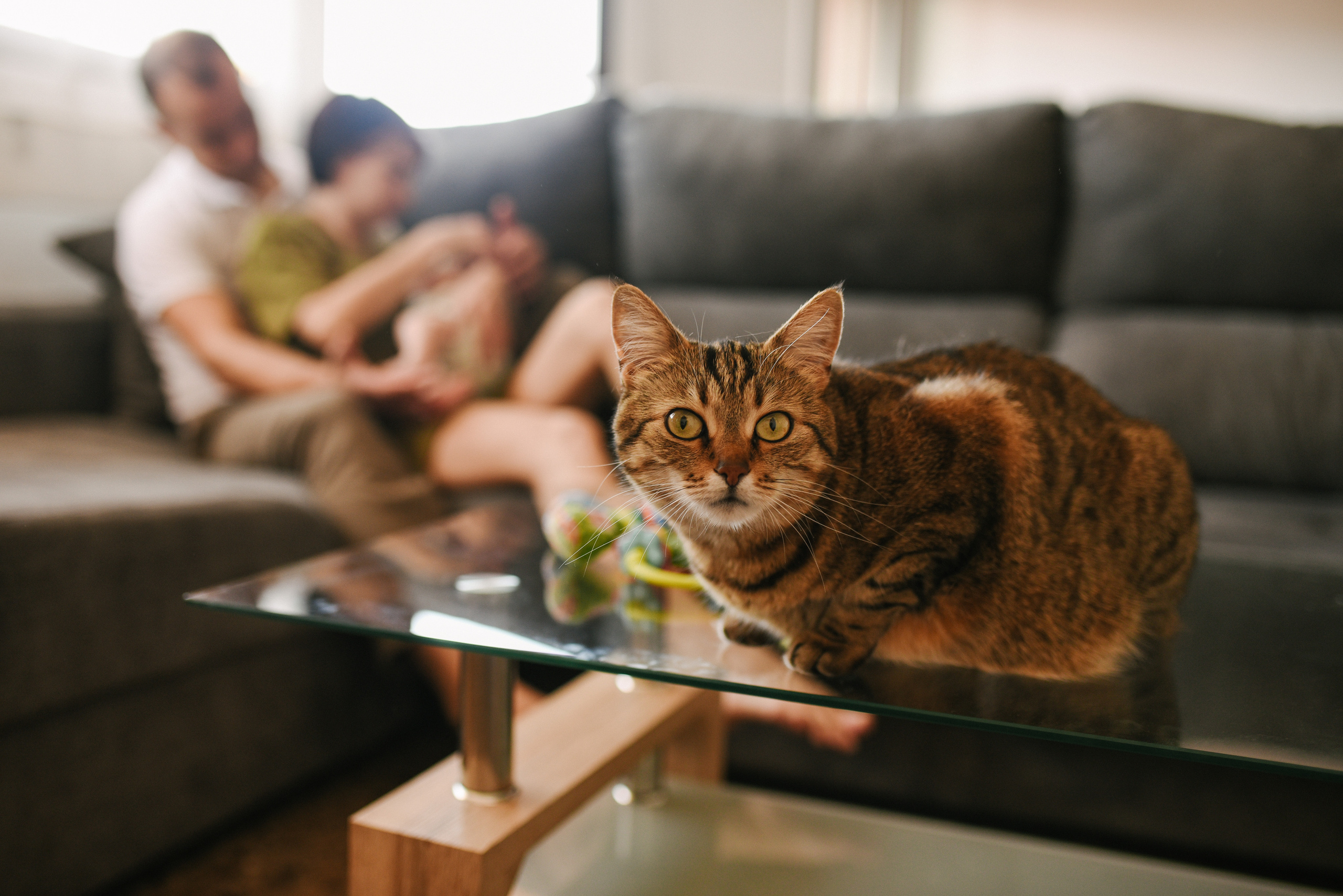 Yevgen, Tetiana, Nikita & Ivanna. Татьяна Малышева — семейный фотограф и видеограф в Валенсии, Испания