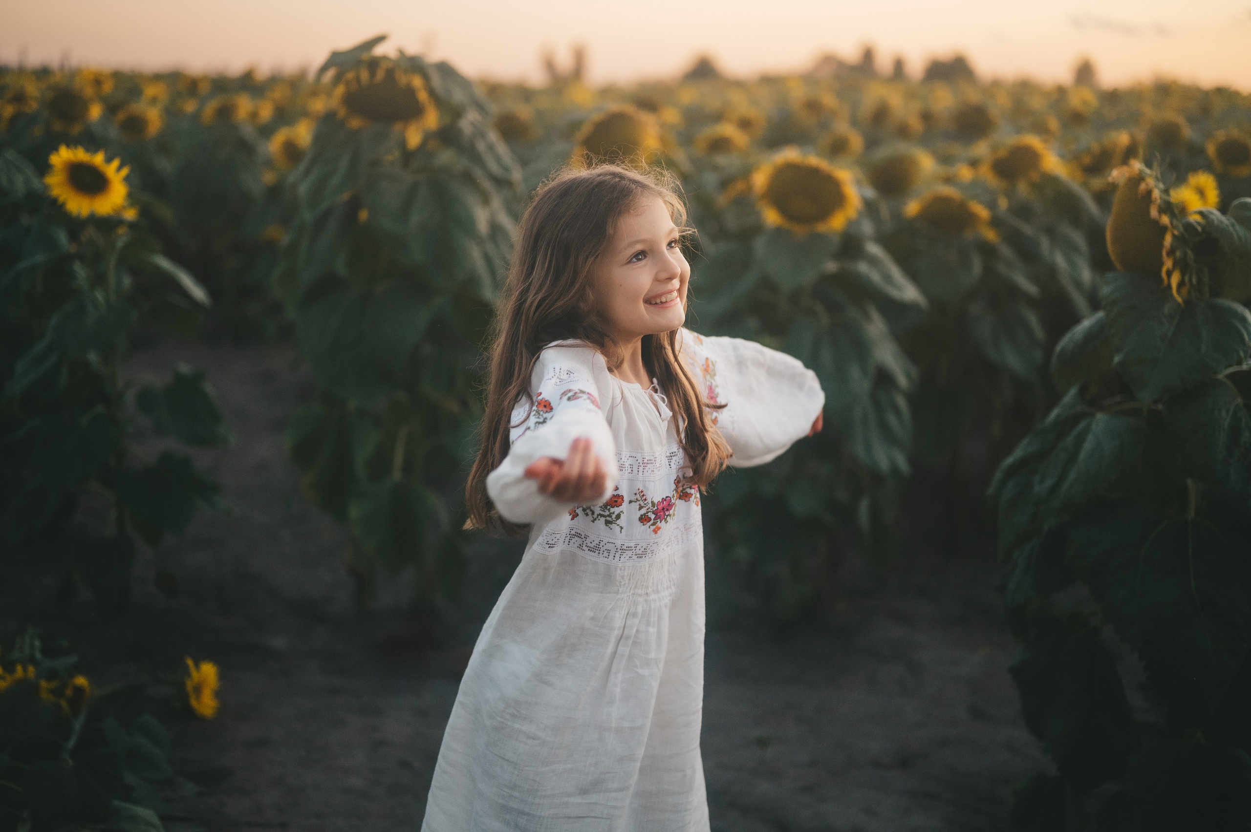 Sunflower field. Татьяна Малышева — семейный фотограф и видеограф в Валенсии, Испания