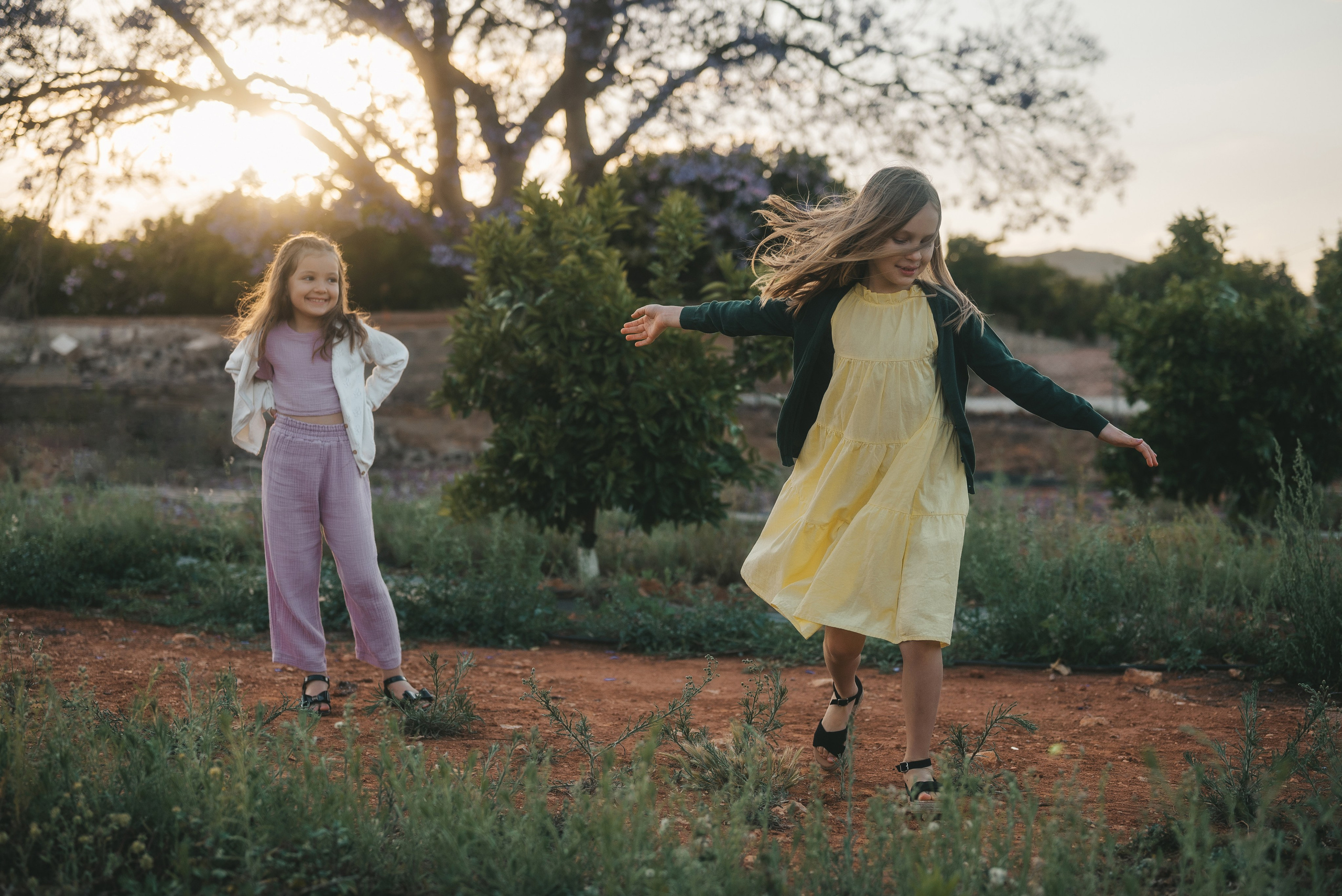 Jacaranda flowers. Tatiana Malysheva — family photographer and videographer in Valencia, Spain