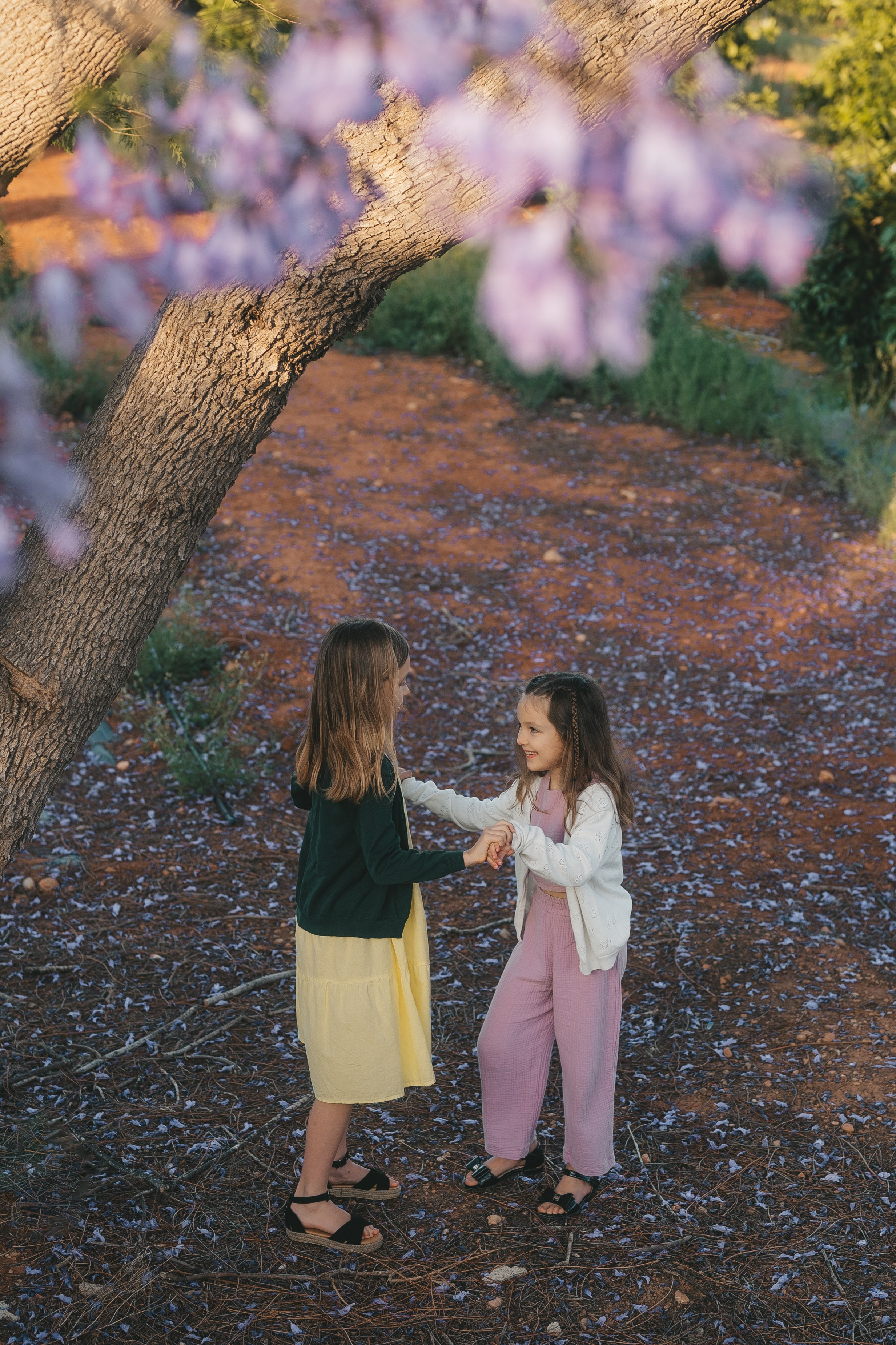 Jacaranda flowers. Tatiana Malysheva — family photographer and videographer in Valencia, Spain
