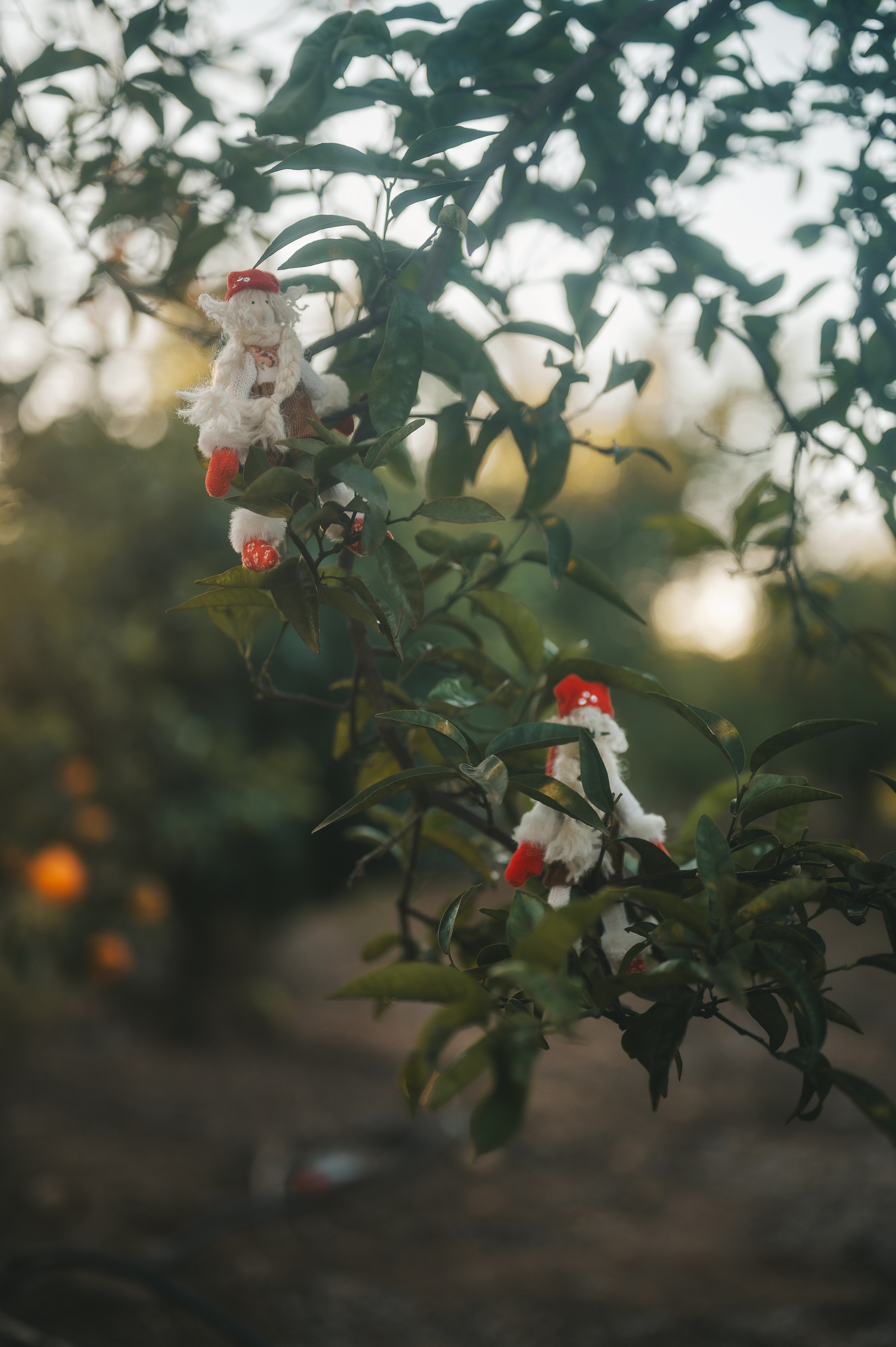 Tangerine Paradise. Тетяна Малишева - сімейний фотограф і відеограф у Валенсії, Іспанія