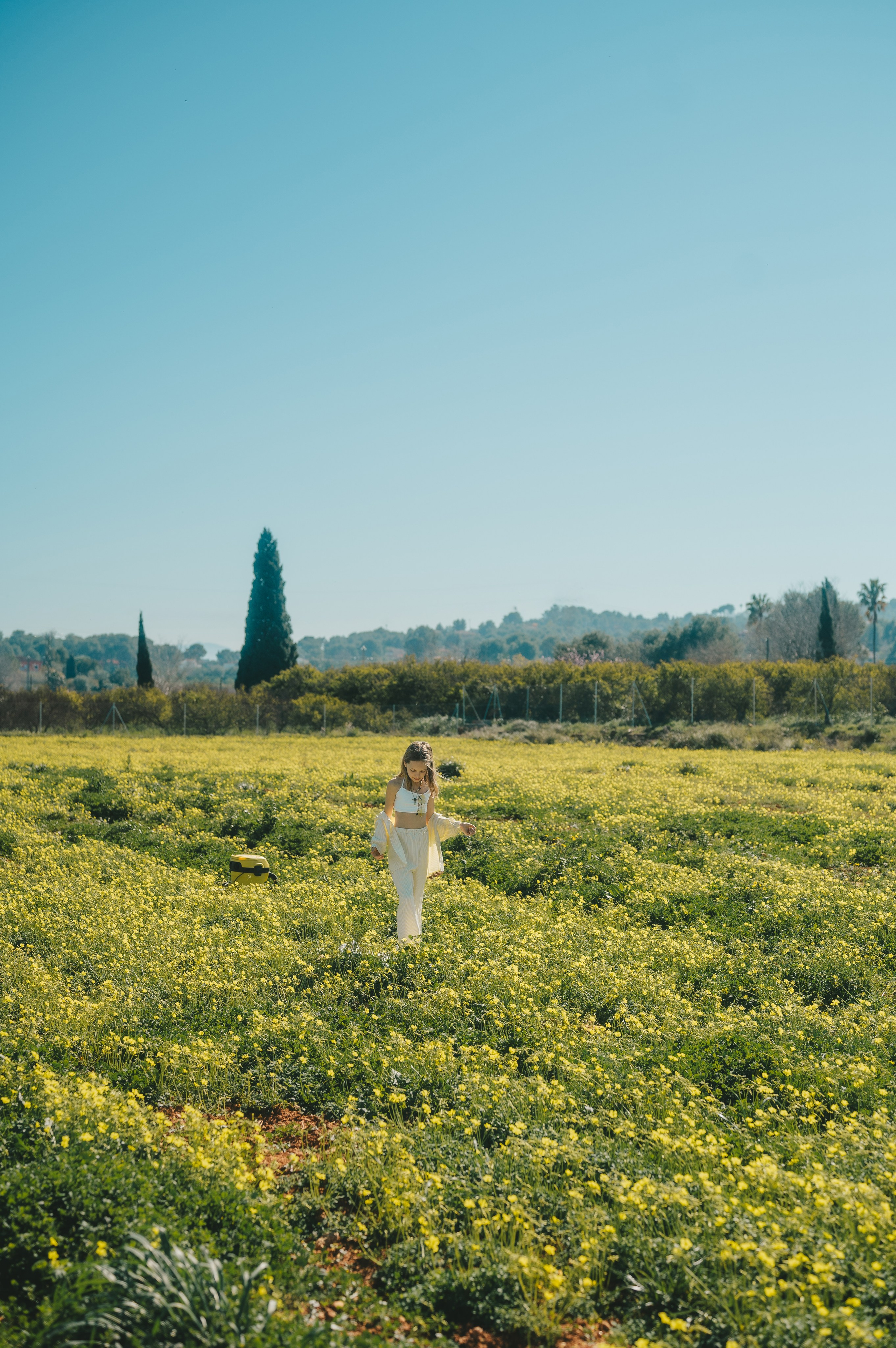 Sunshine Catcher. Tatiana Malysheva — lifestyle fotógrafa y videógrafa en Valencia, España