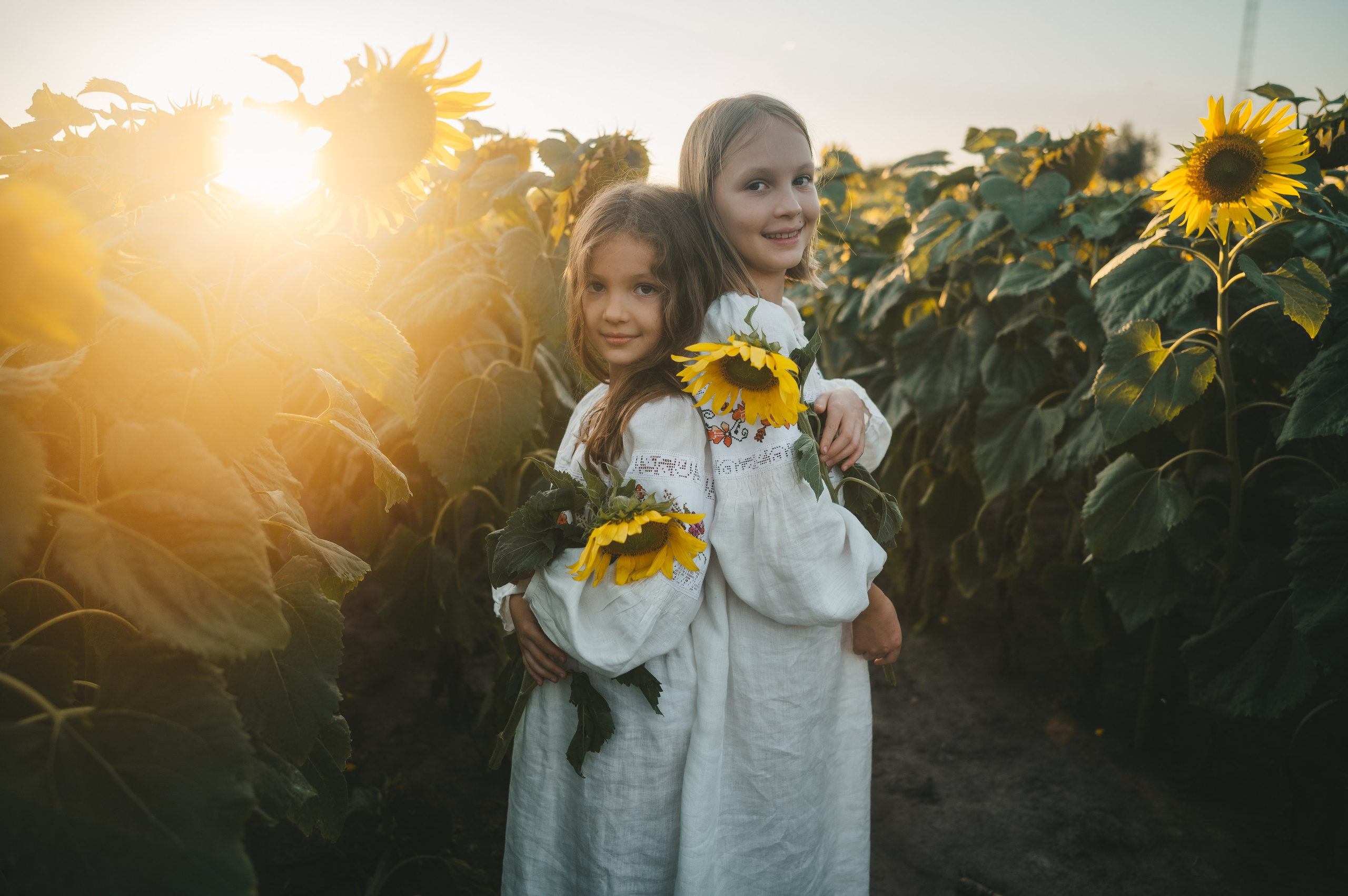 Sunflower field. Татьяна Малышева — семейный фотограф и видеограф в Валенсии, Испания
