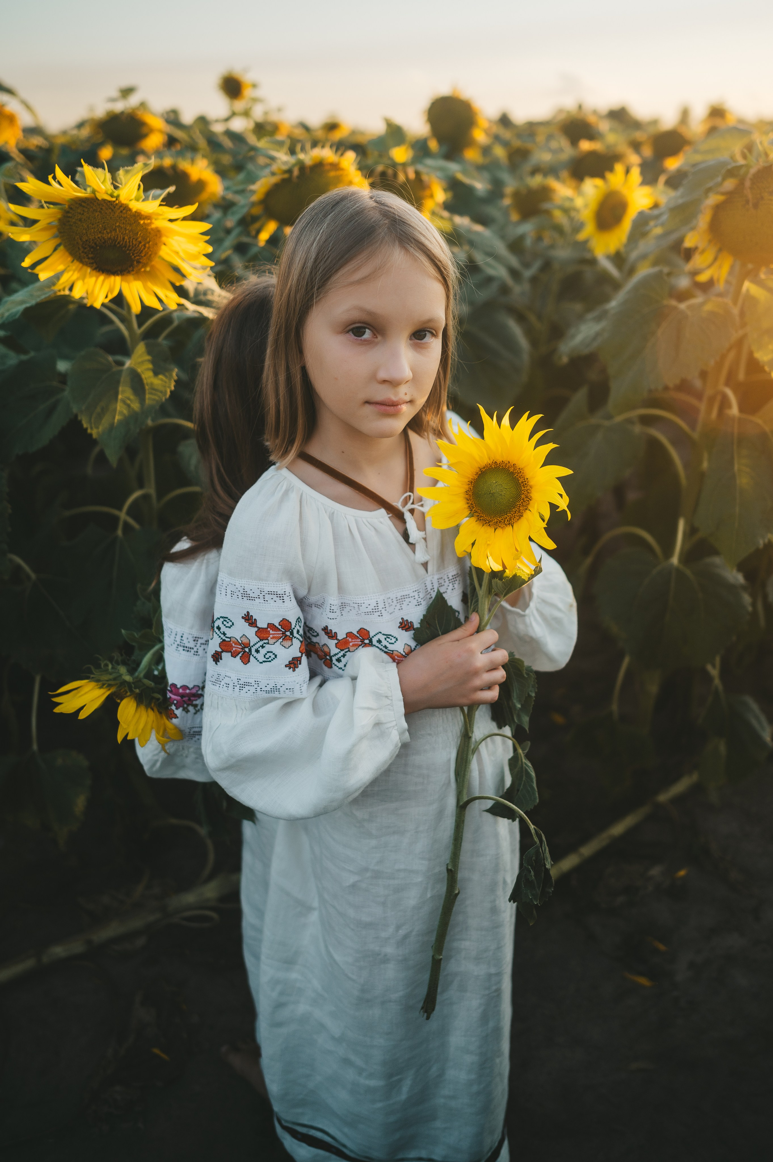 Sunflower field. Татьяна Малышева — семейный фотограф и видеограф в Валенсии, Испания