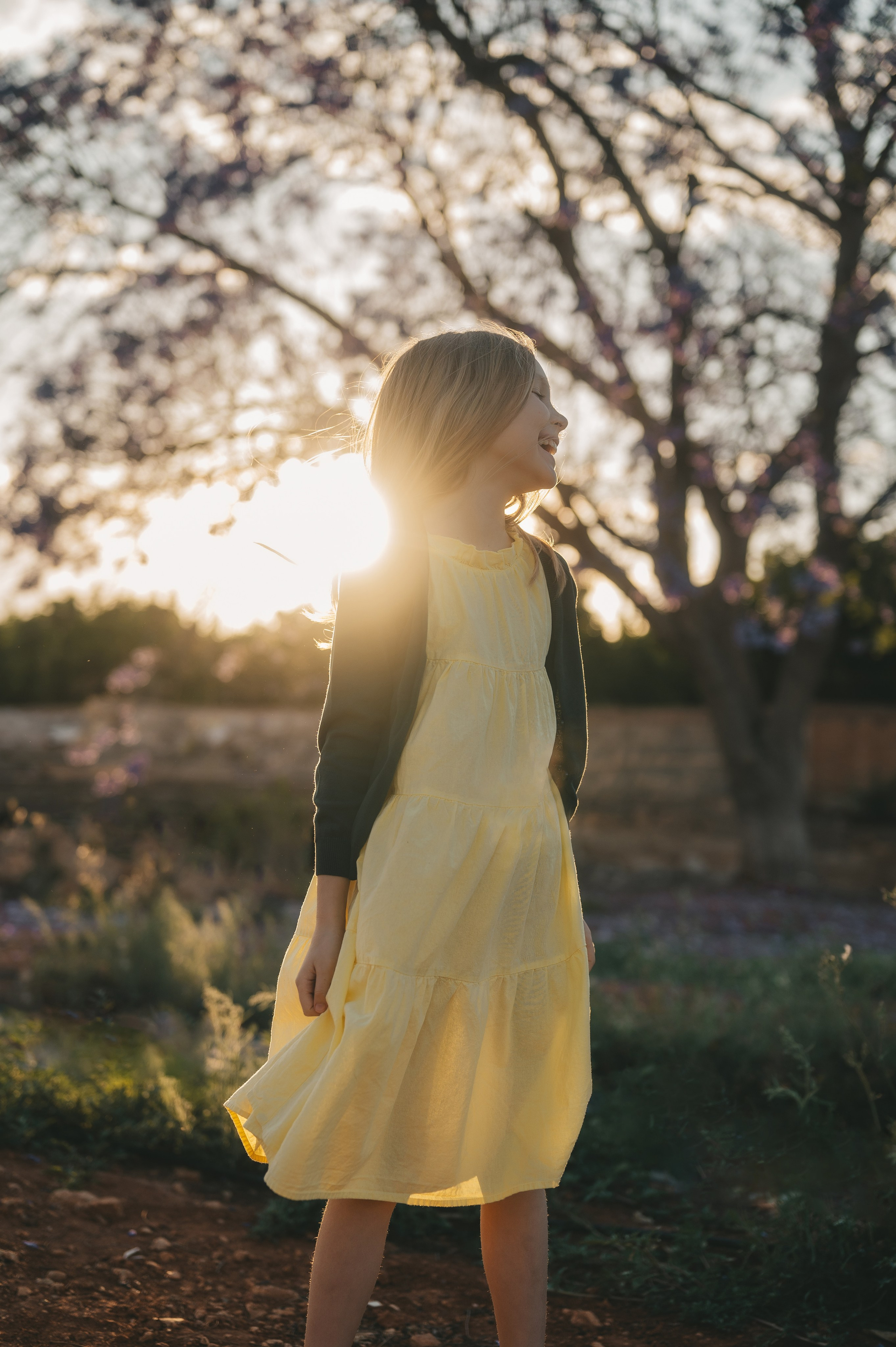 Jacaranda flowers. Tatiana Malysheva — family photographer and videographer in Valencia, Spain