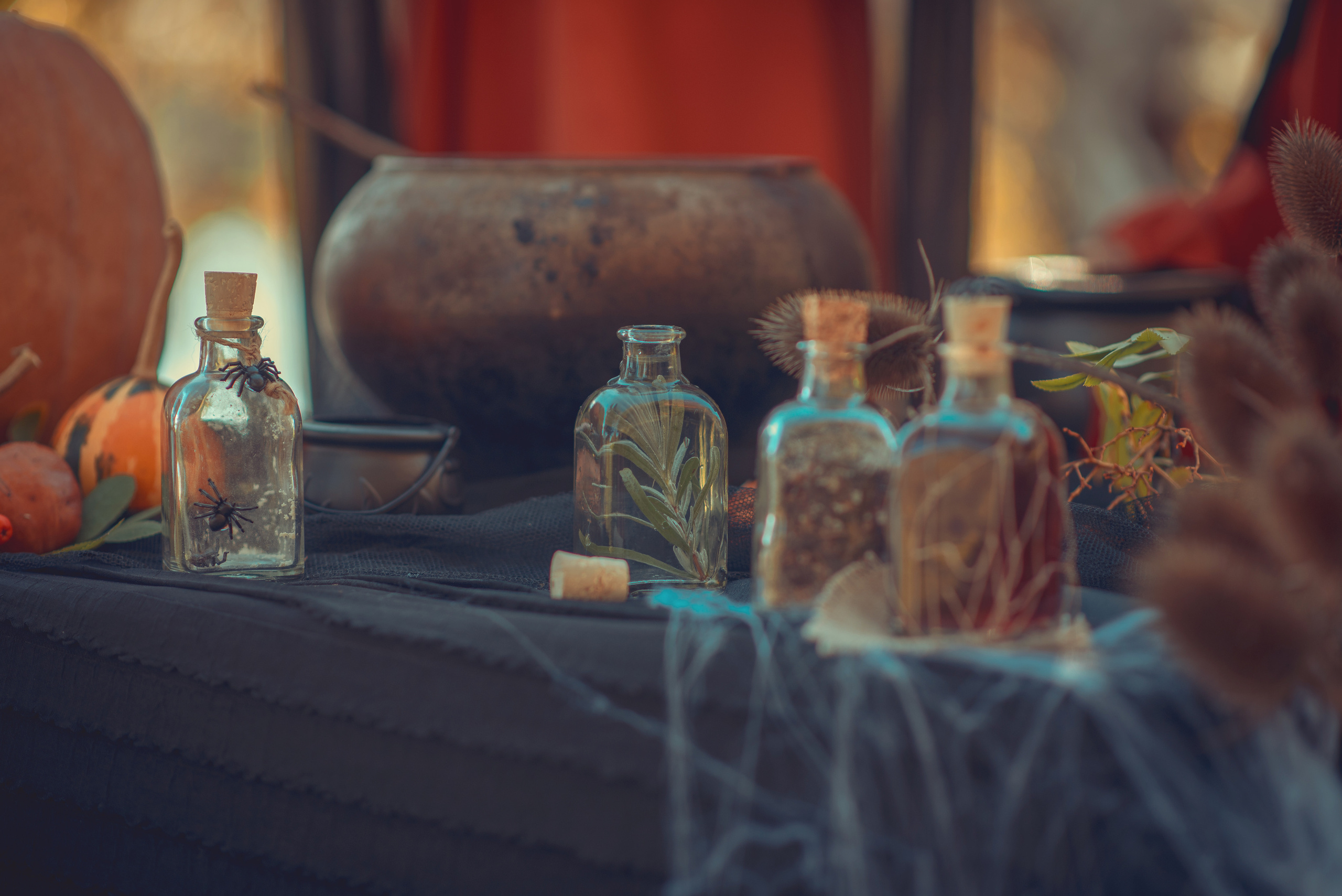 Little Witches. Tatiana Malysheva — family photographer and videographer in Valencia, Spain