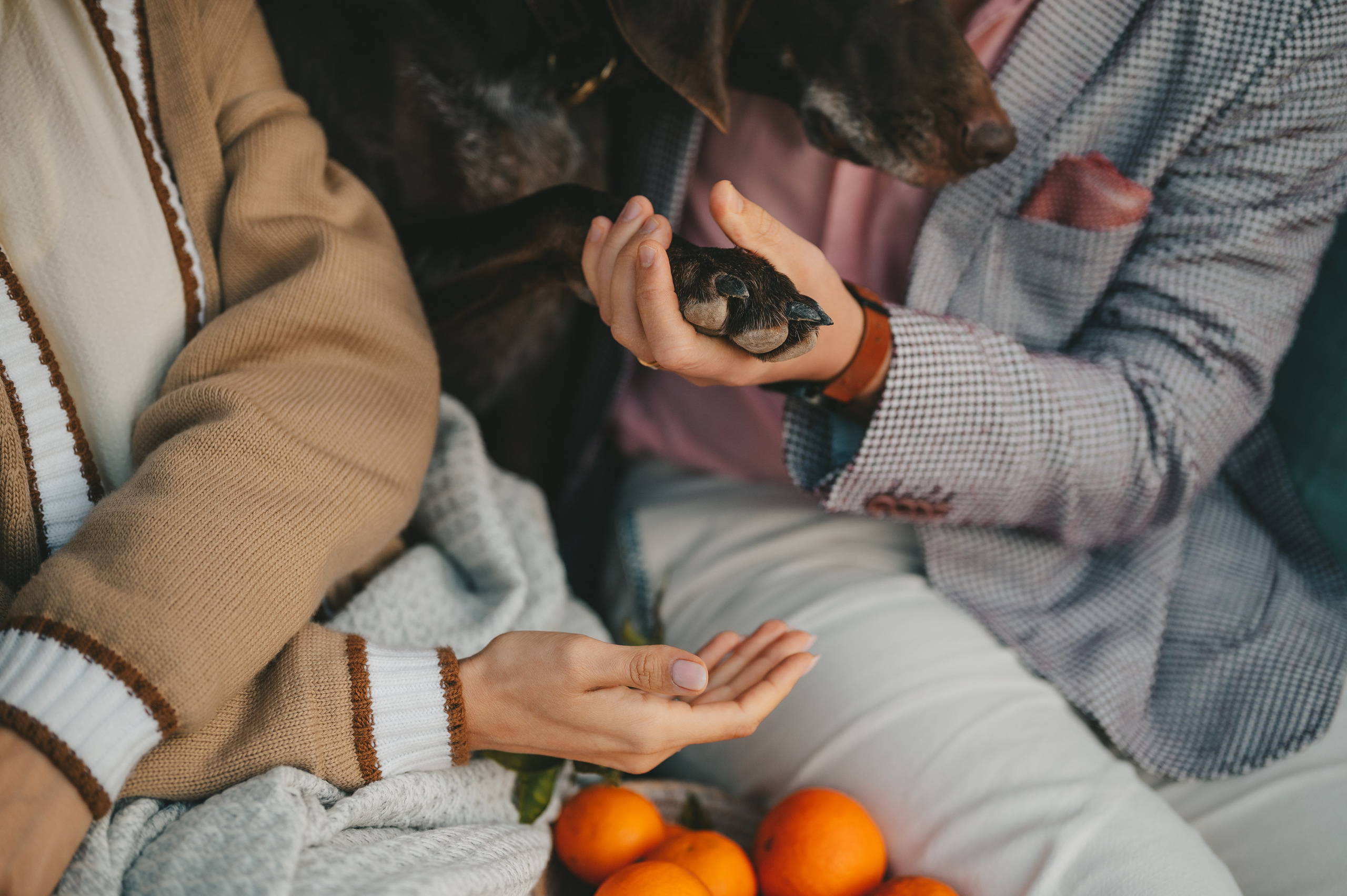 Anna & Eugene. Тетяна Малишева - сімейний фотограф і відеограф у Валенсії, Іспанія