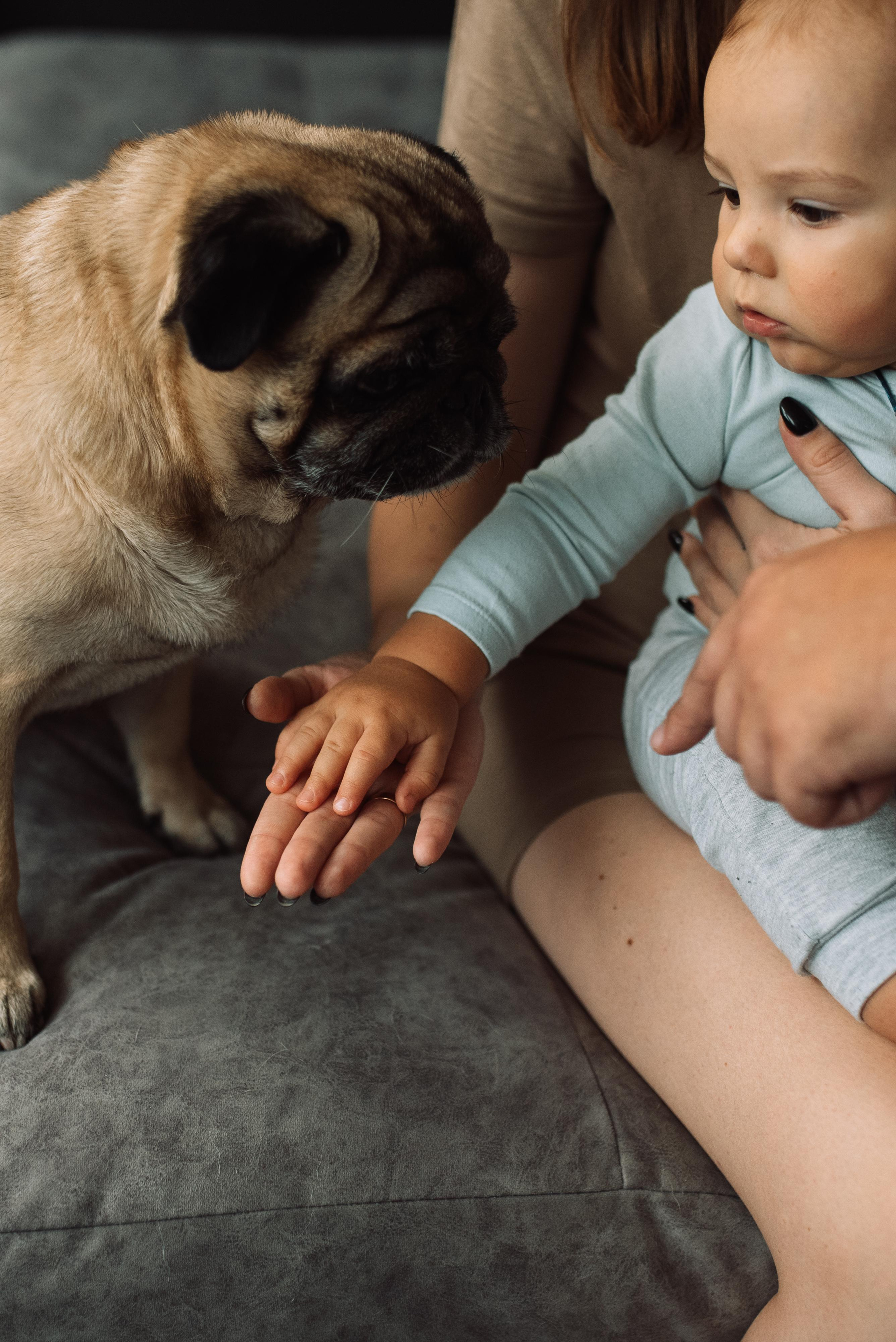 Олексій, Євгенія, Ярослав і Жорік. Тетяна Малишева - сімейний фотограф і відеограф у Валенсії, Іспанія
