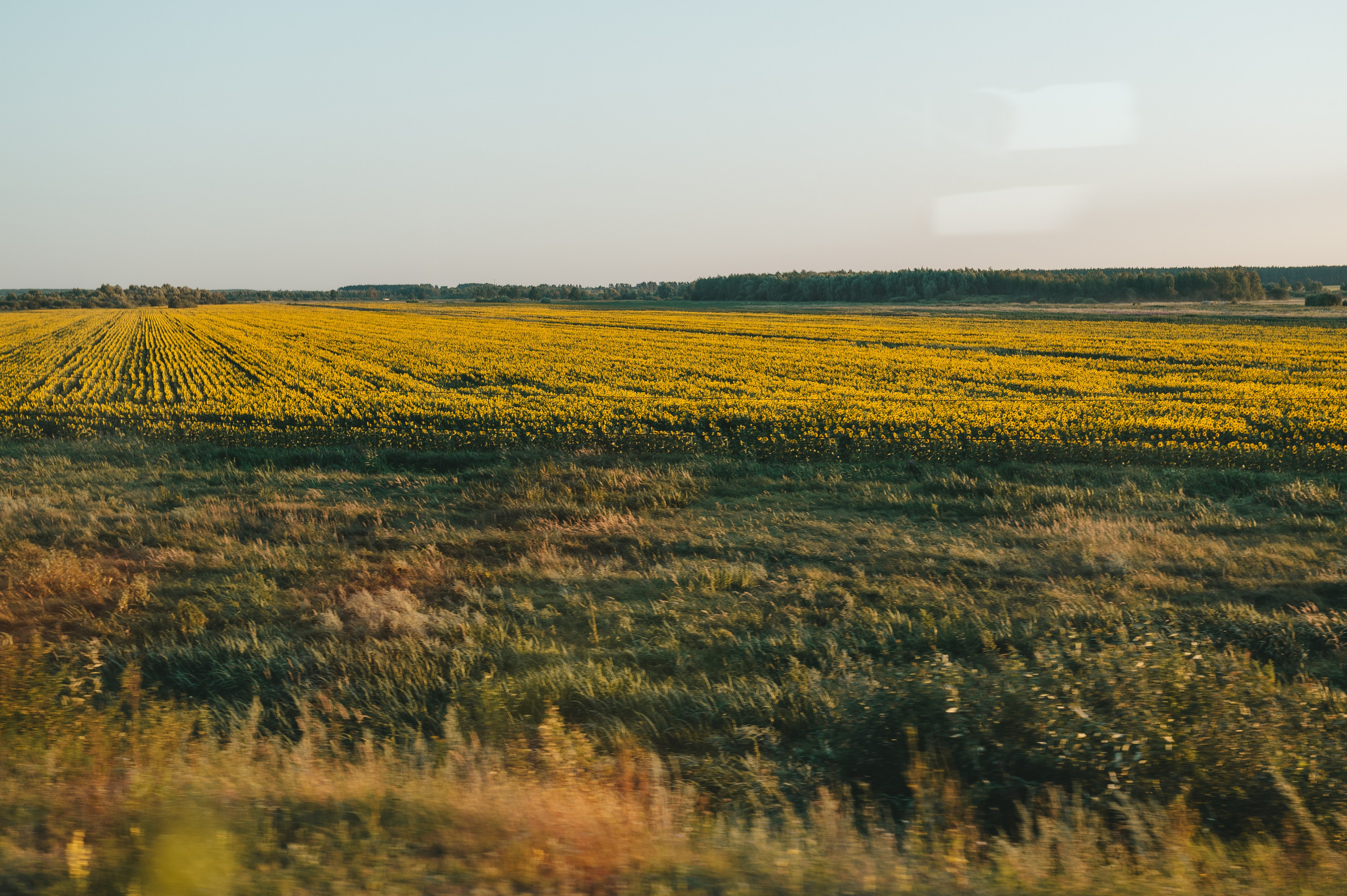 The perfect journey. Тетяна Малишева - сімейний фотограф і відеограф у Валенсії, Іспанія