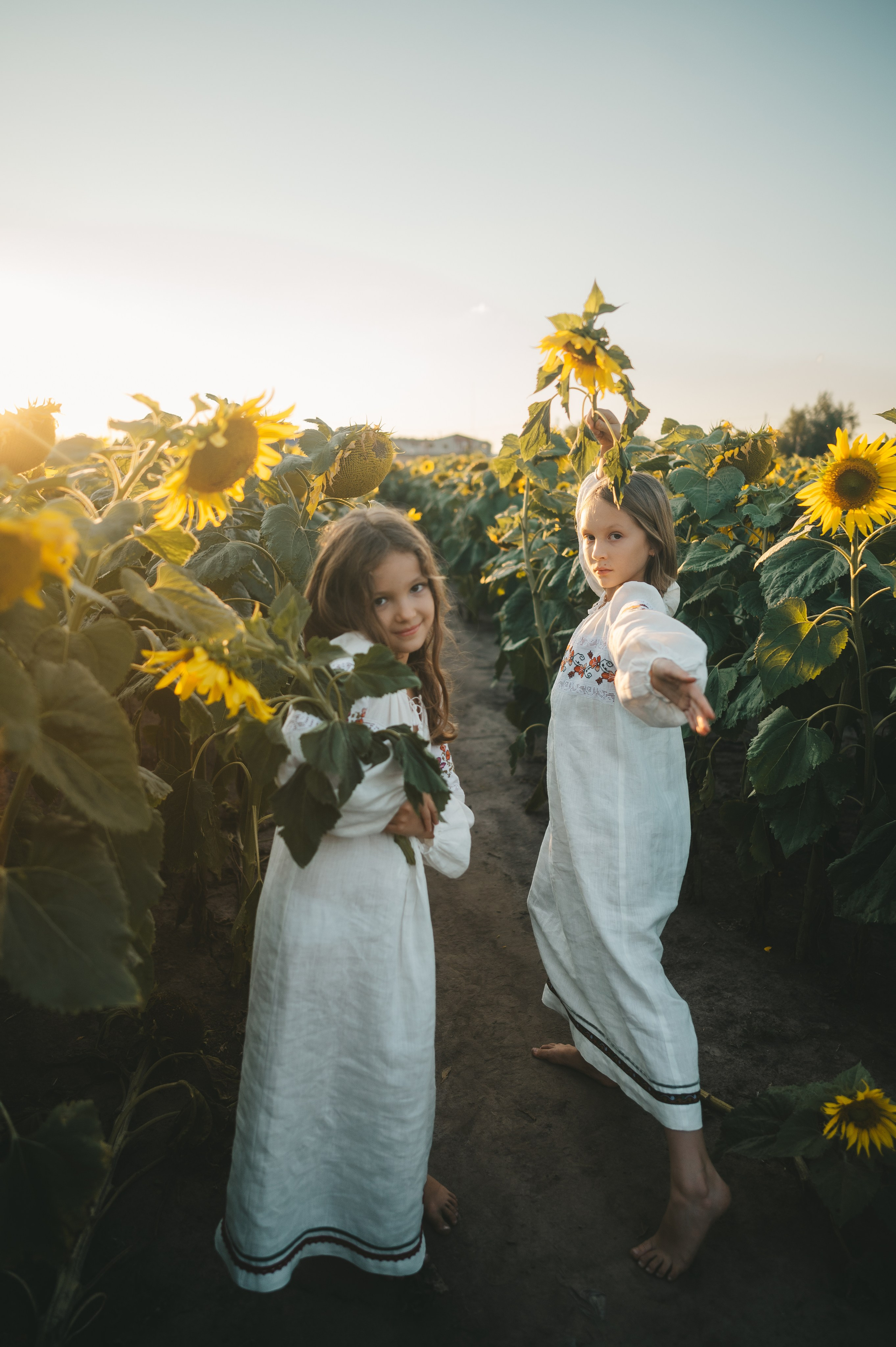 Sunflower field. Татьяна Малышева — семейный фотограф и видеограф в Валенсии, Испания