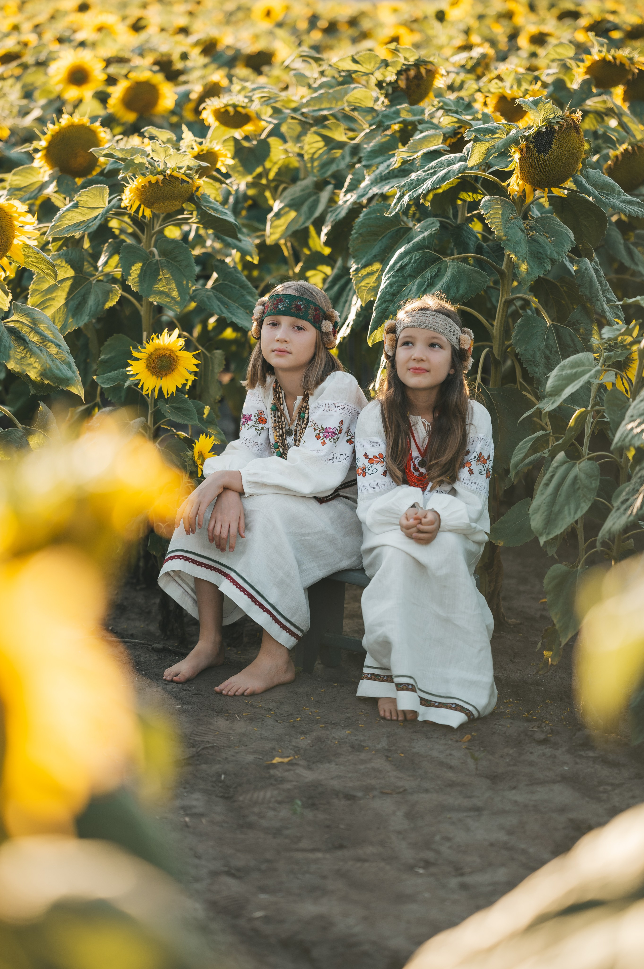 Sunflower field. Татьяна Малышева — семейный фотограф и видеограф в Валенсии, Испания
