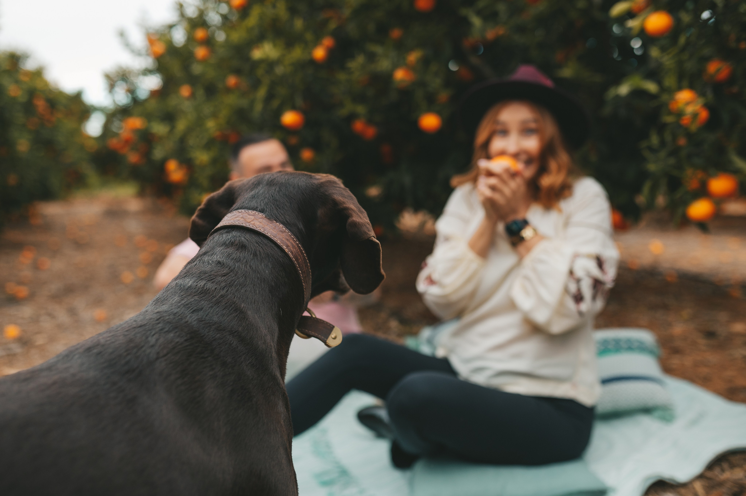 Anna & Eugene. Тетяна Малишева - сімейний фотограф і відеограф у Валенсії, Іспанія