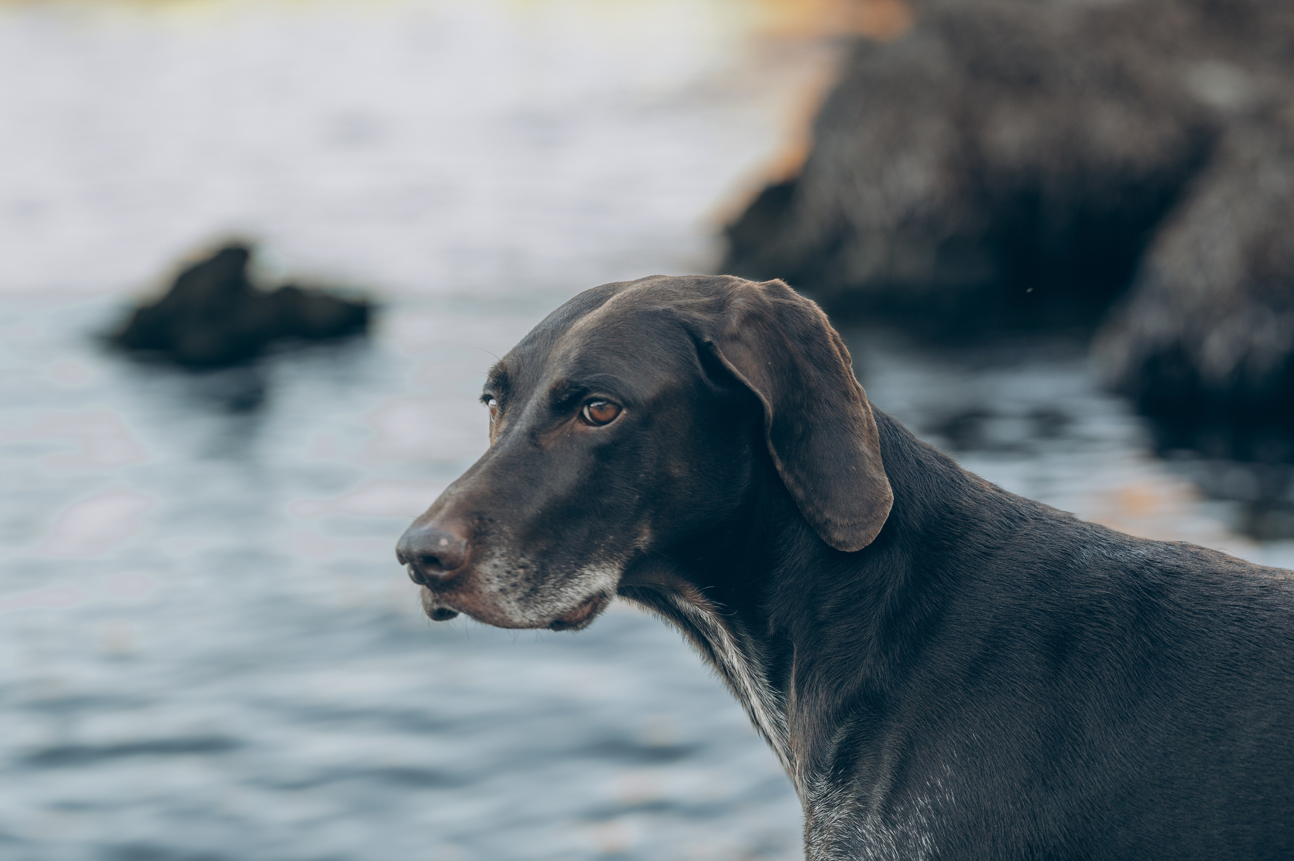 Eugene, Anna & River. Тетяна Малишева - сімейний фотограф і відеограф у Валенсії, Іспанія