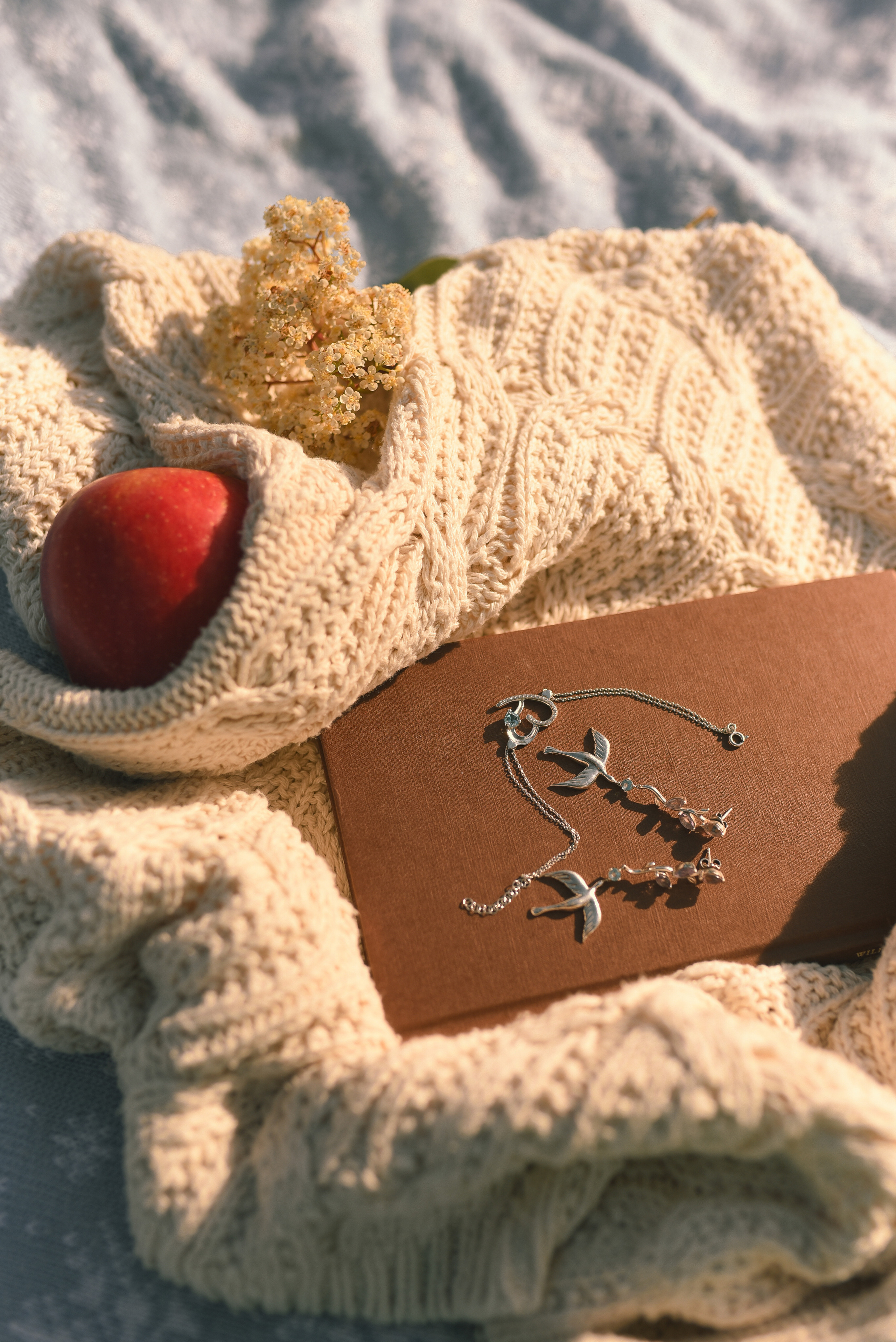 Anna and Noovie. Татьяна Малышева — семейный фотограф и видеограф в Валенсии, Испания