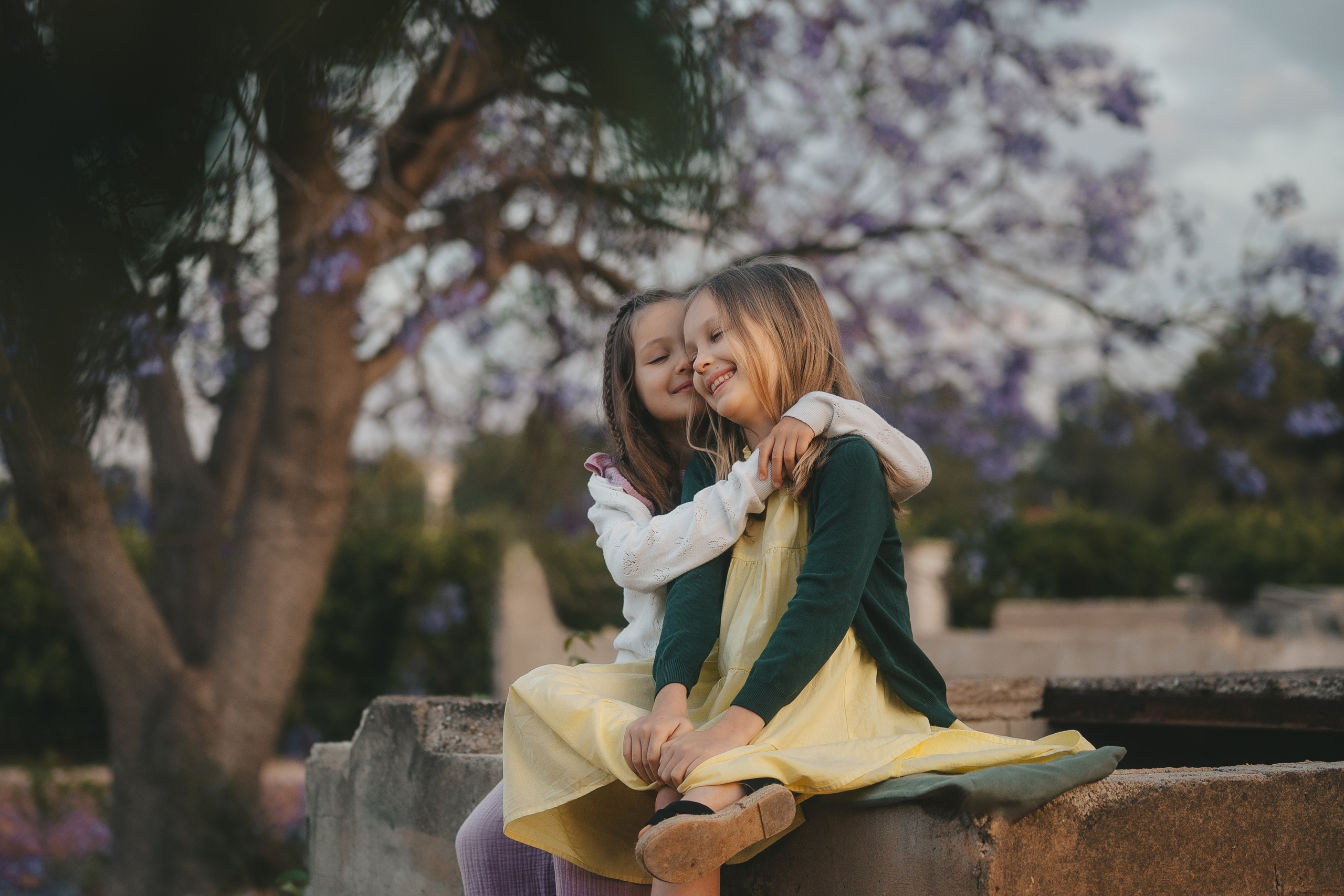 Jacaranda flowers. Tatiana Malysheva — family photographer and videographer in Valencia, Spain