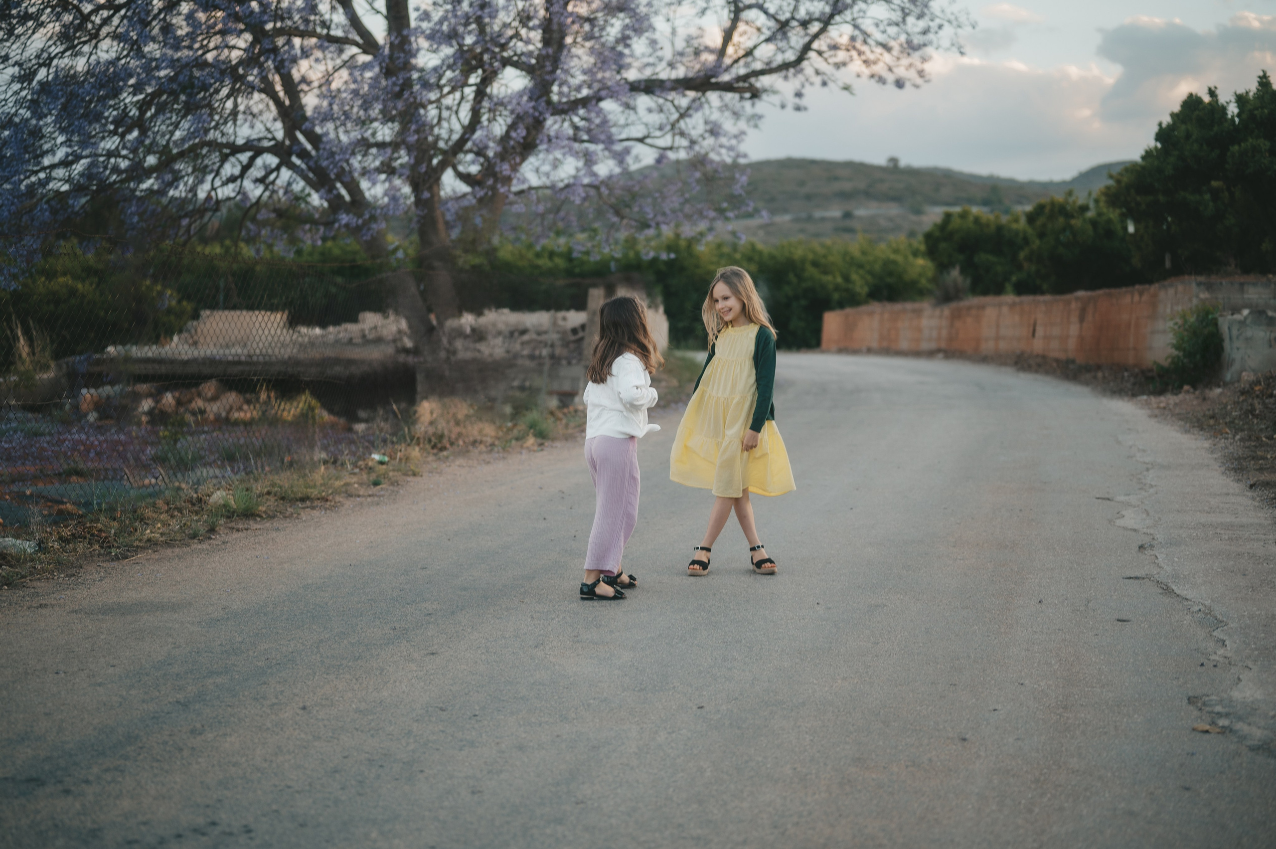 Jacaranda flowers. Tatiana Malysheva — family photographer and videographer in Valencia, Spain