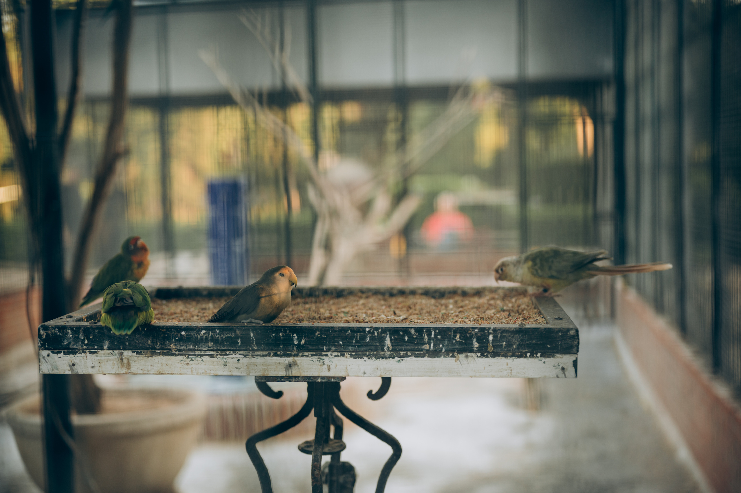 Ivan, Marina, Liza & Tima. Тетяна Малишева - сімейний фотограф і відеограф у Валенсії, Іспанія