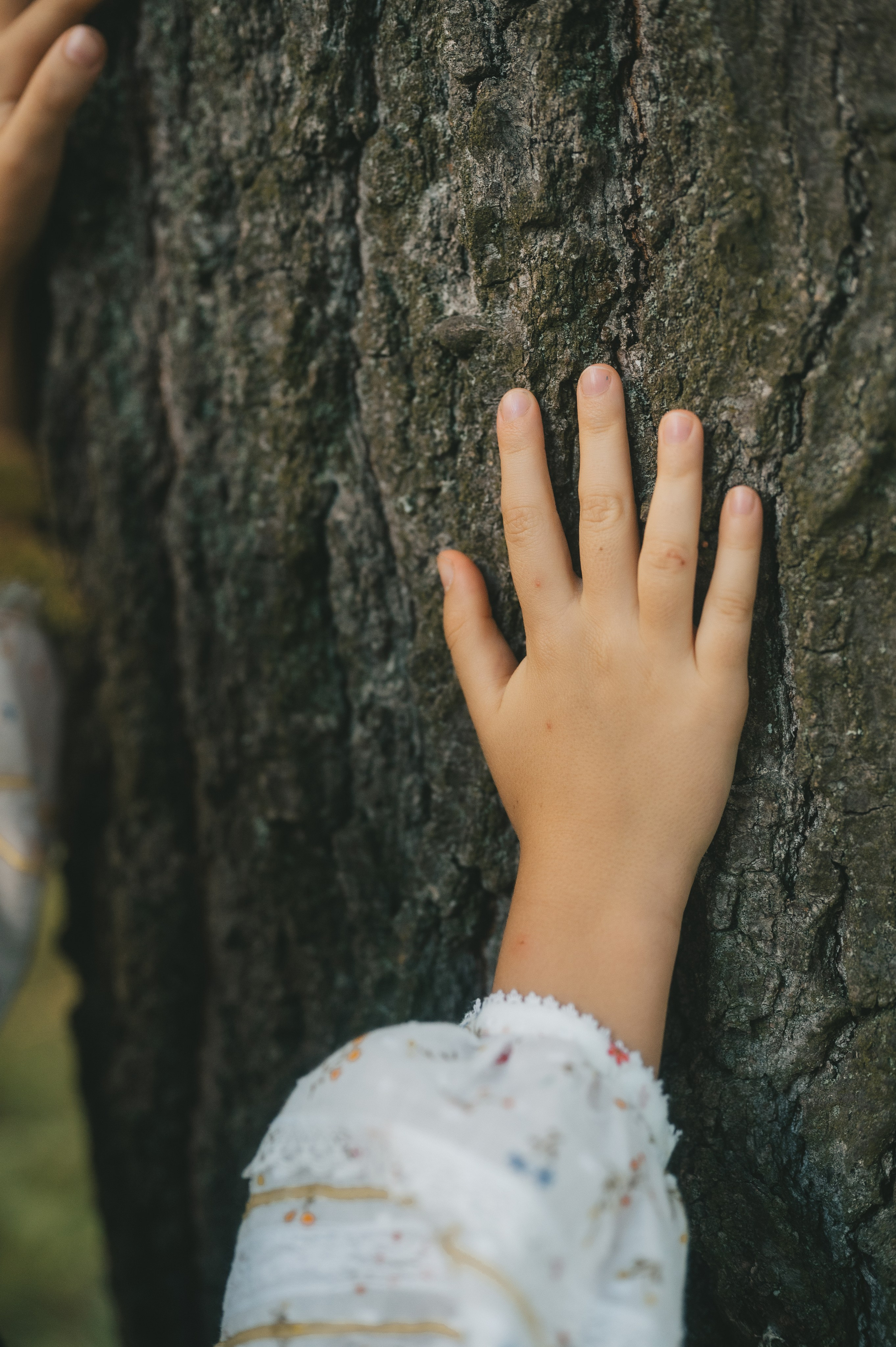 Лісові мавки. Tatiana Malysheva — family photographer and videographer in Valencia, Spain