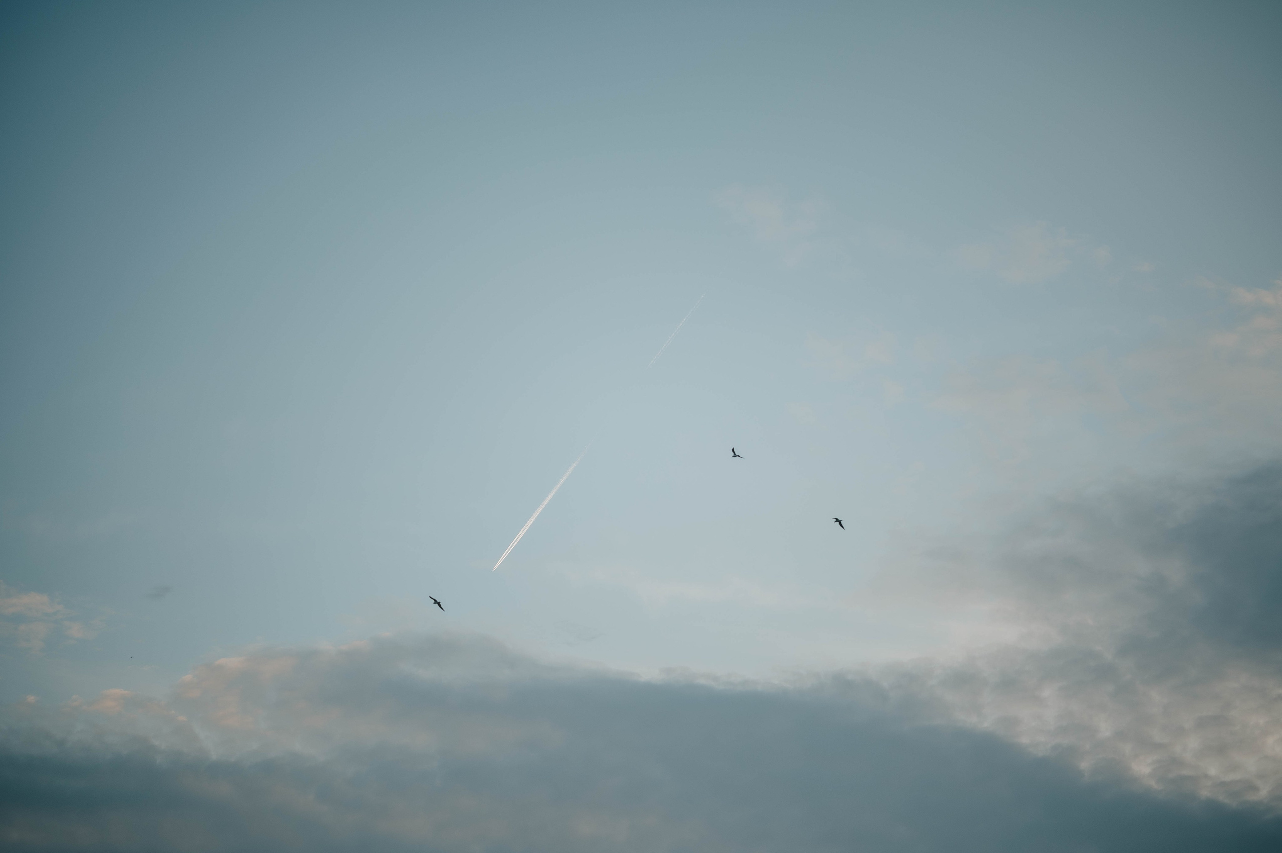 Eugeniy, Oleksandra & Sofia. Tatiana Malysheva — lifestyle fotógrafa y videógrafa en Valencia, España