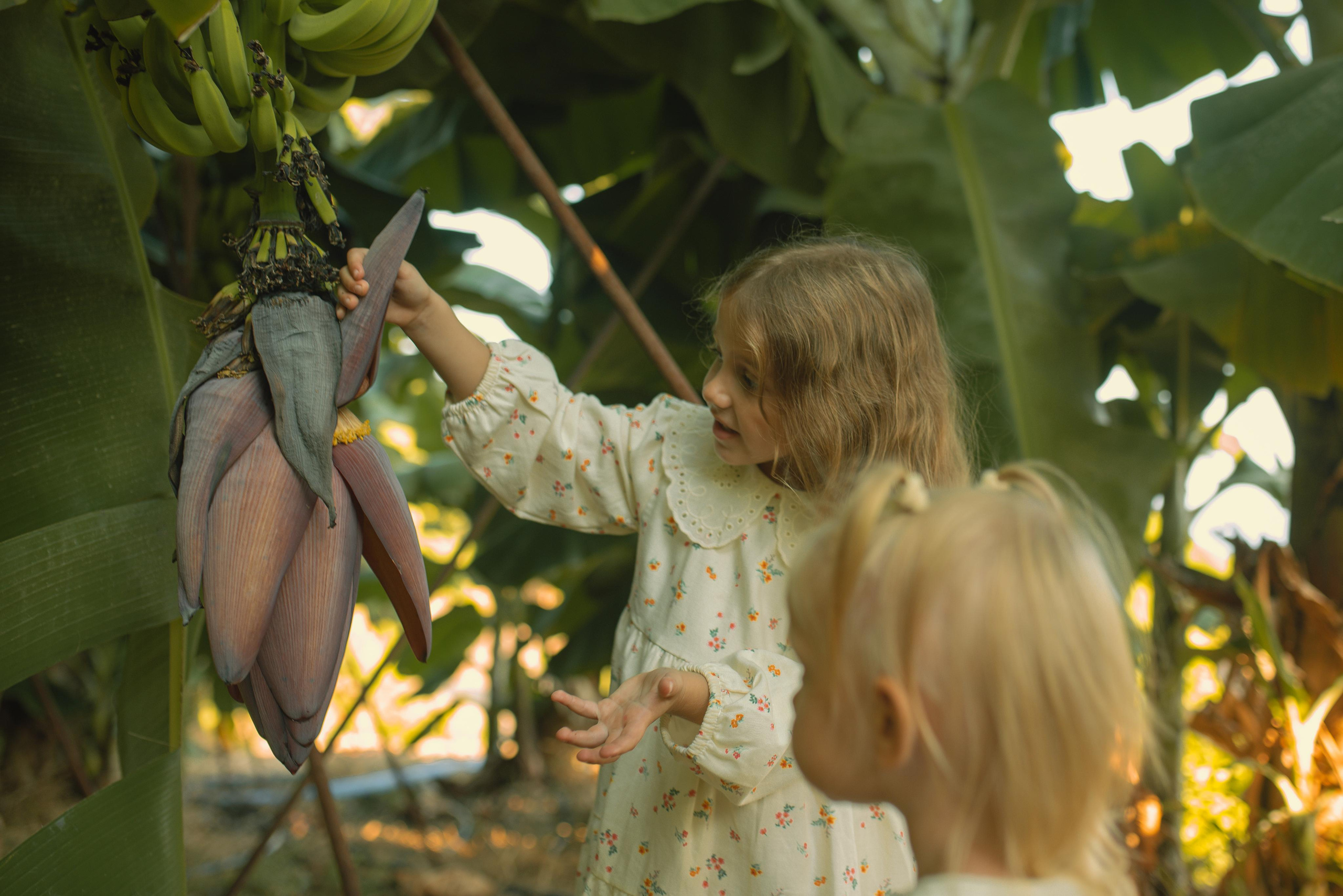 Sergiy, Diana, Sasha and Masha. Татьяна Малышева — семейный фотограф и видеограф в Валенсии, Испания