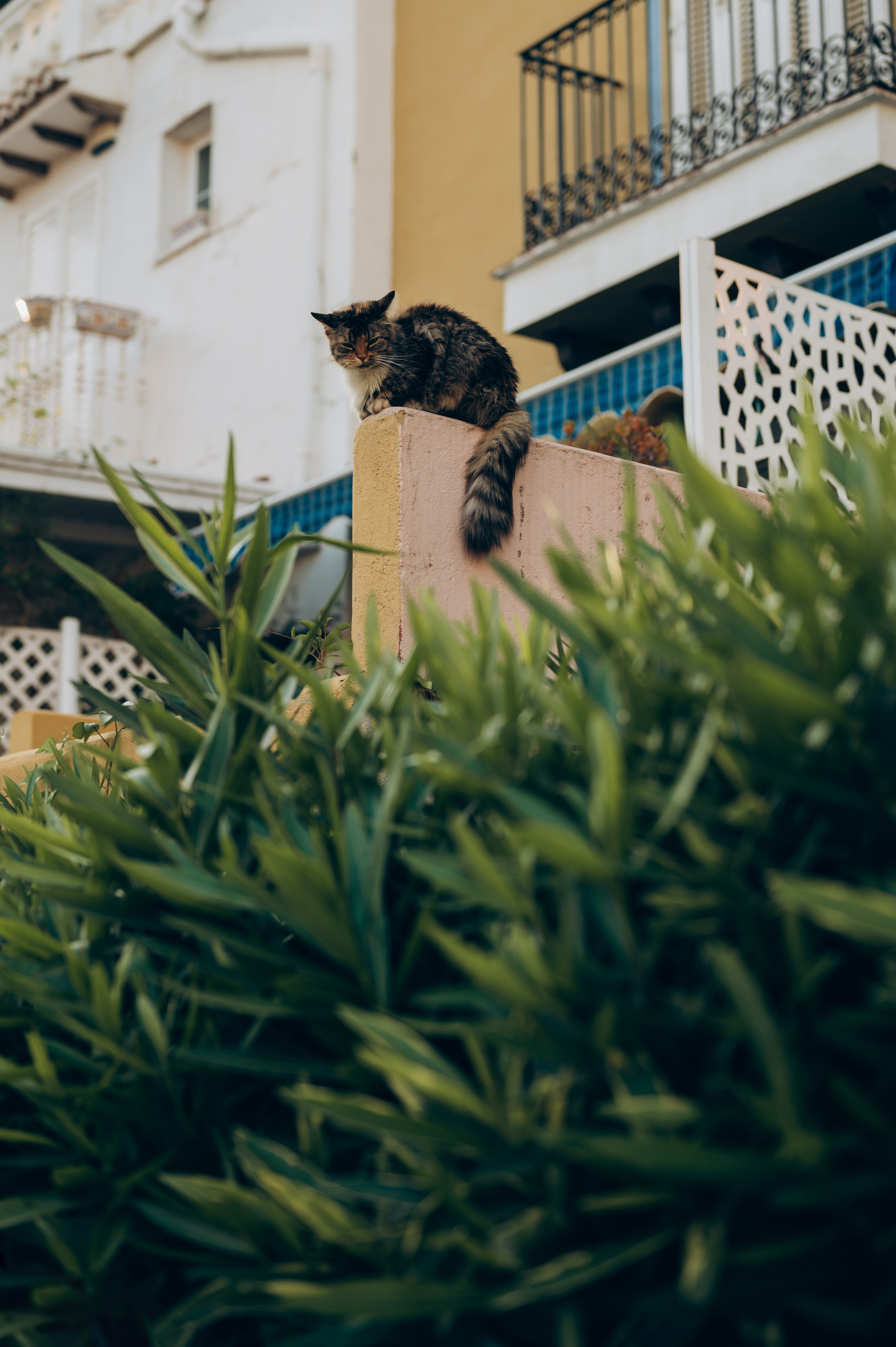 Dima, Darya & Emma. Тетяна Малишева - сімейний фотограф і відеограф у Валенсії, Іспанія