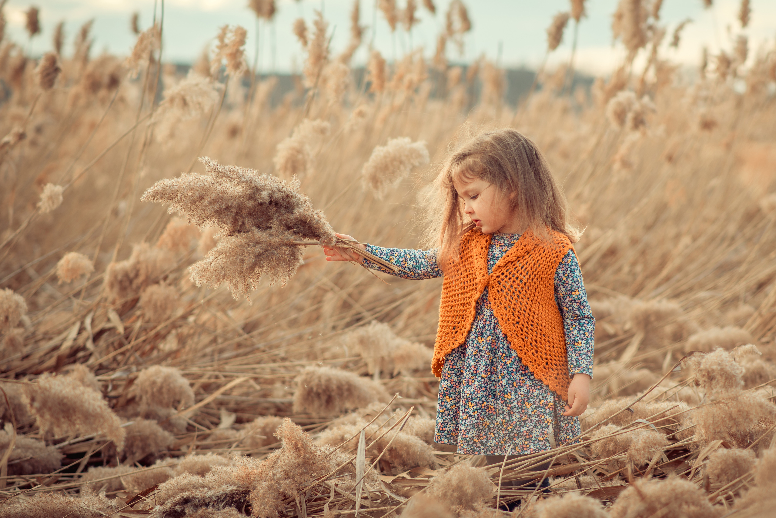 Фотозйомка на природі. Тетяна Малишева - сімейний фотограф і відеограф у Валенсії, Іспанія