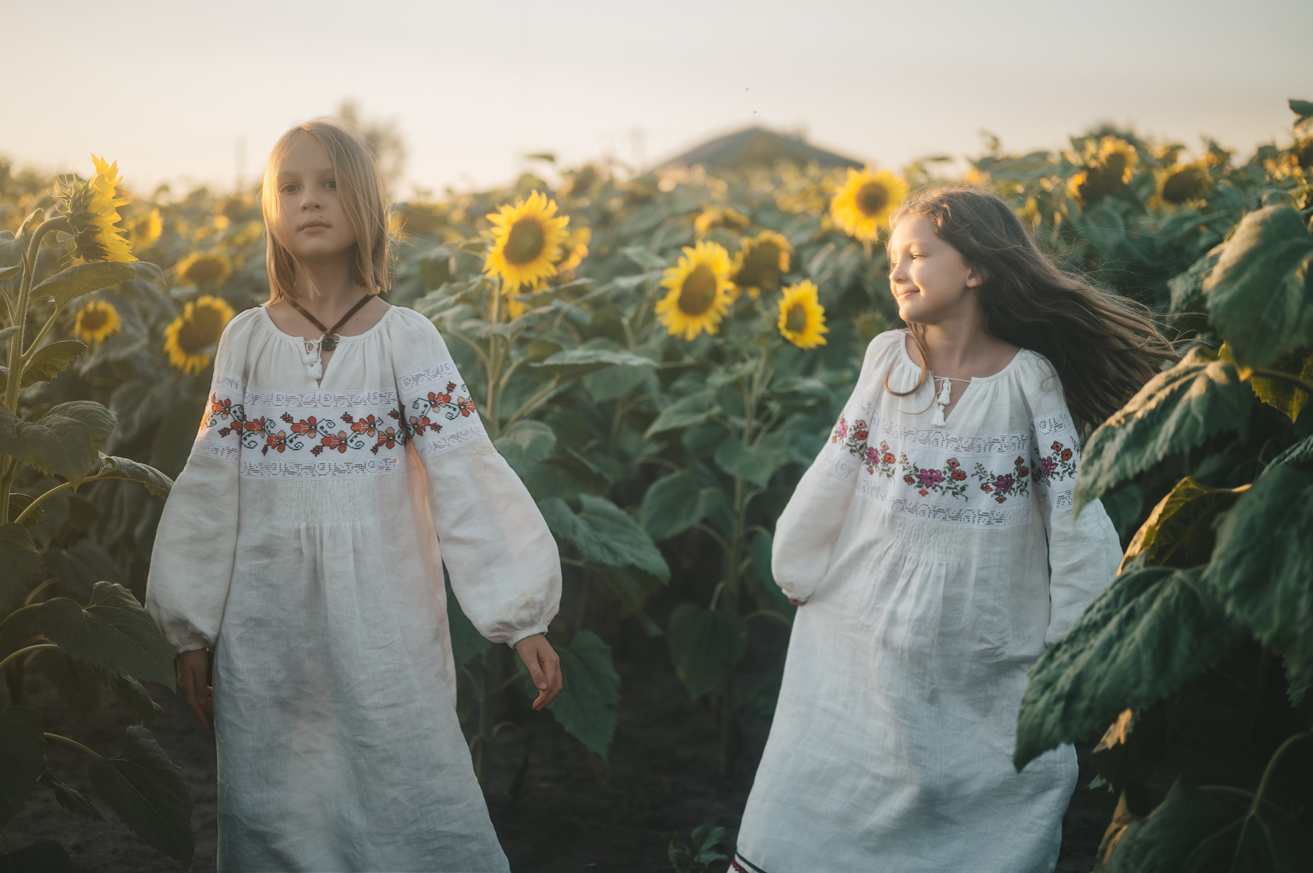 Sunflower field. Татьяна Малышева — семейный фотограф и видеограф в Валенсии, Испания