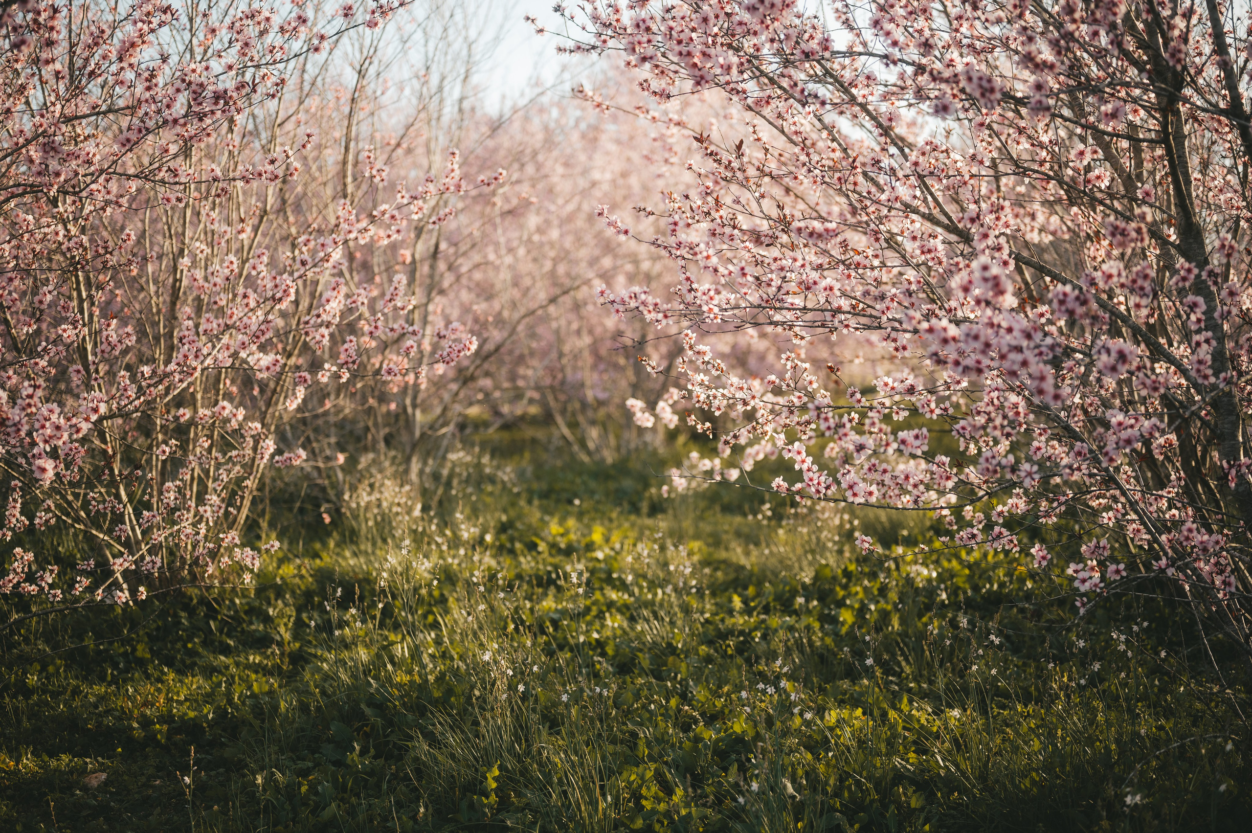Ivan, Marina, Liza & Tima. Татьяна Малышева — семейный фотограф и видеограф в Валенсии, Испания