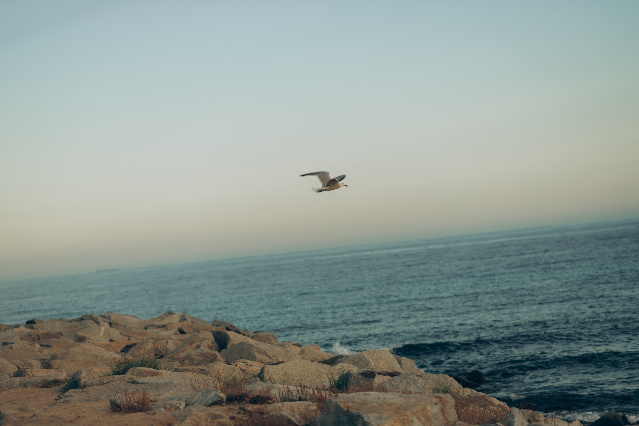 Lovestory. Татьяна Малышева — семейный фотограф и видеограф в Валенсии, Испания