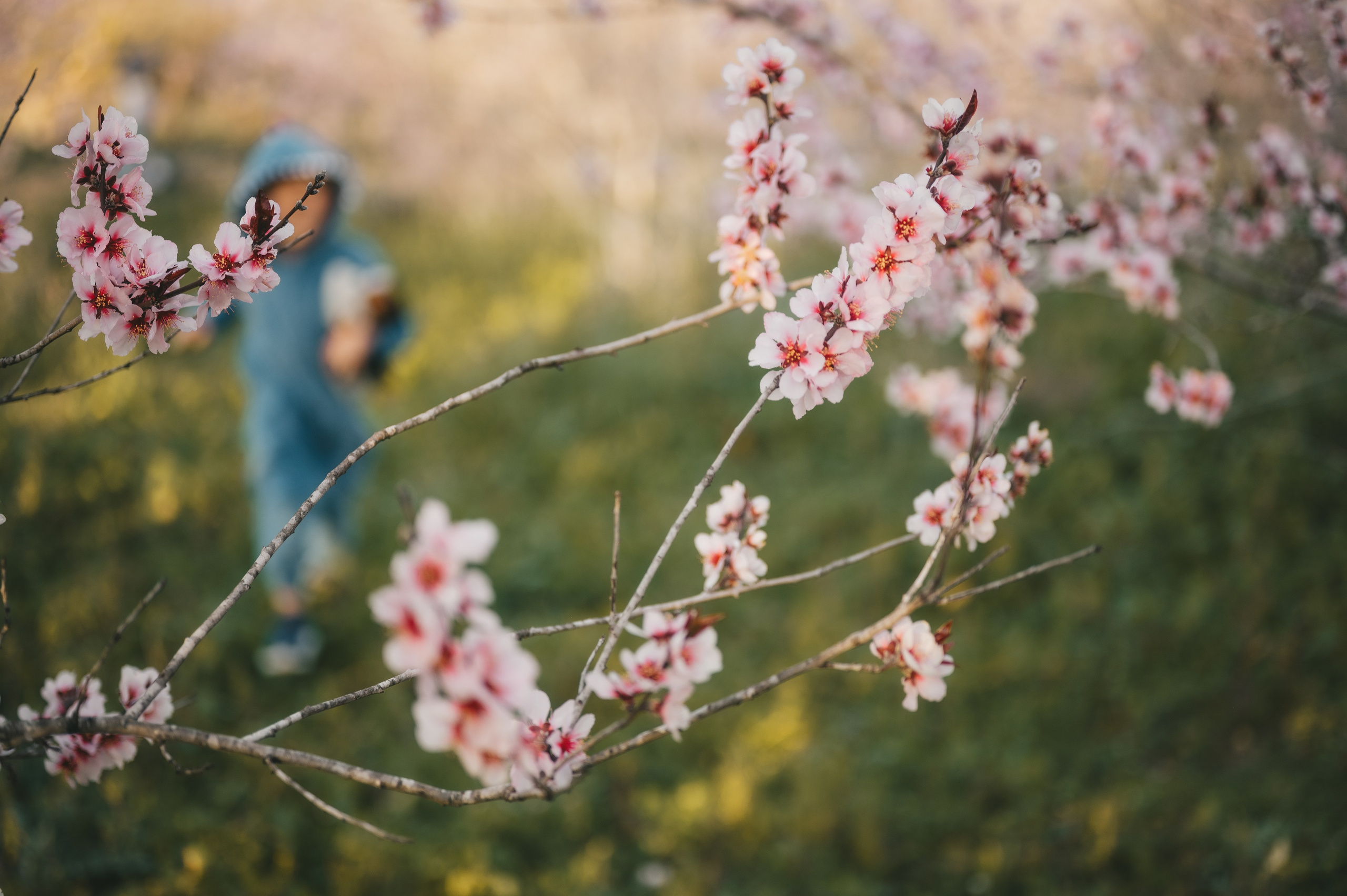 Ivan, Marina, Liza & Tima. Татьяна Малышева — семейный фотограф и видеограф в Валенсии, Испания