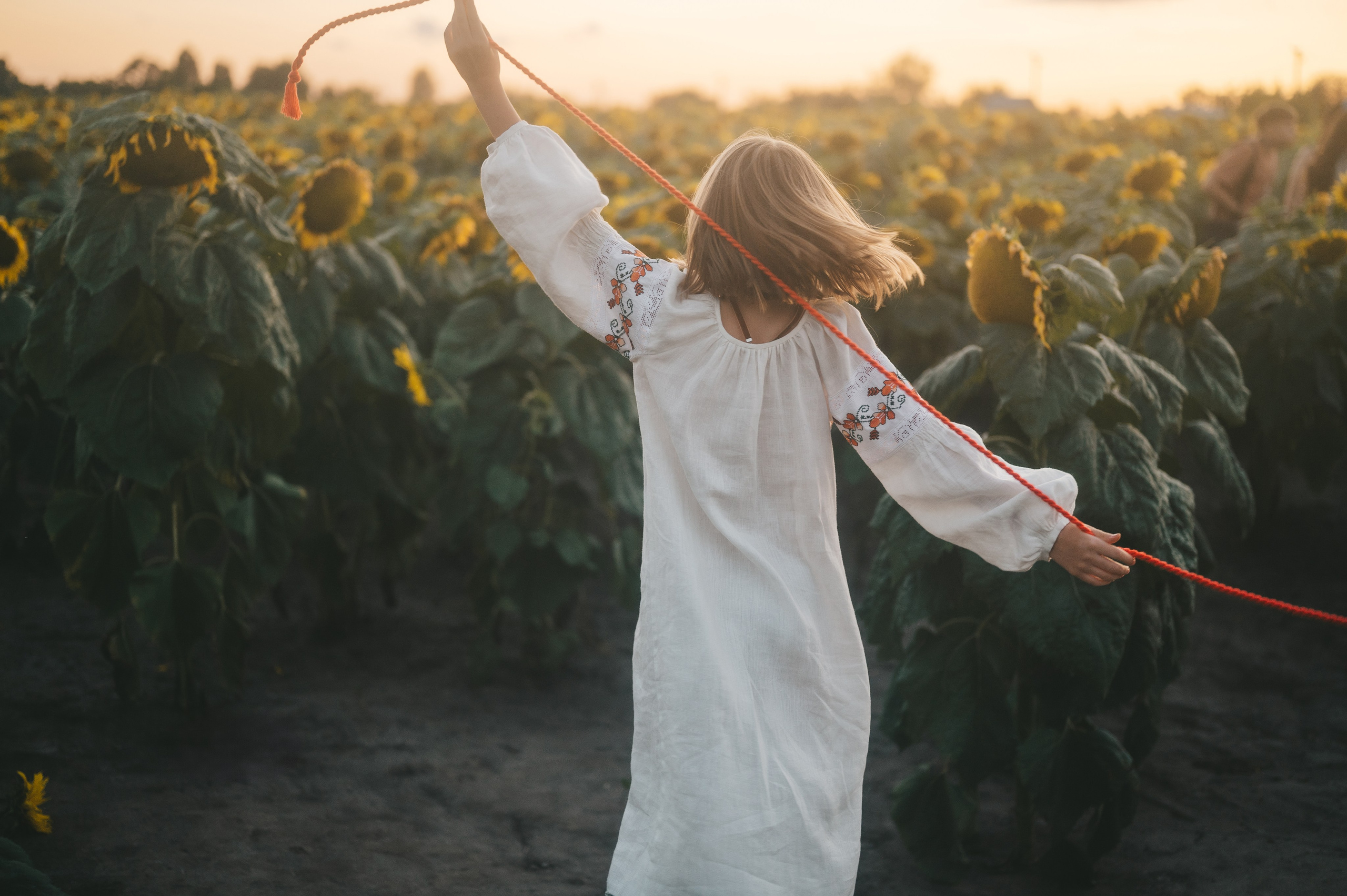 Sunflower field. Татьяна Малышева — семейный фотограф и видеограф в Валенсии, Испания