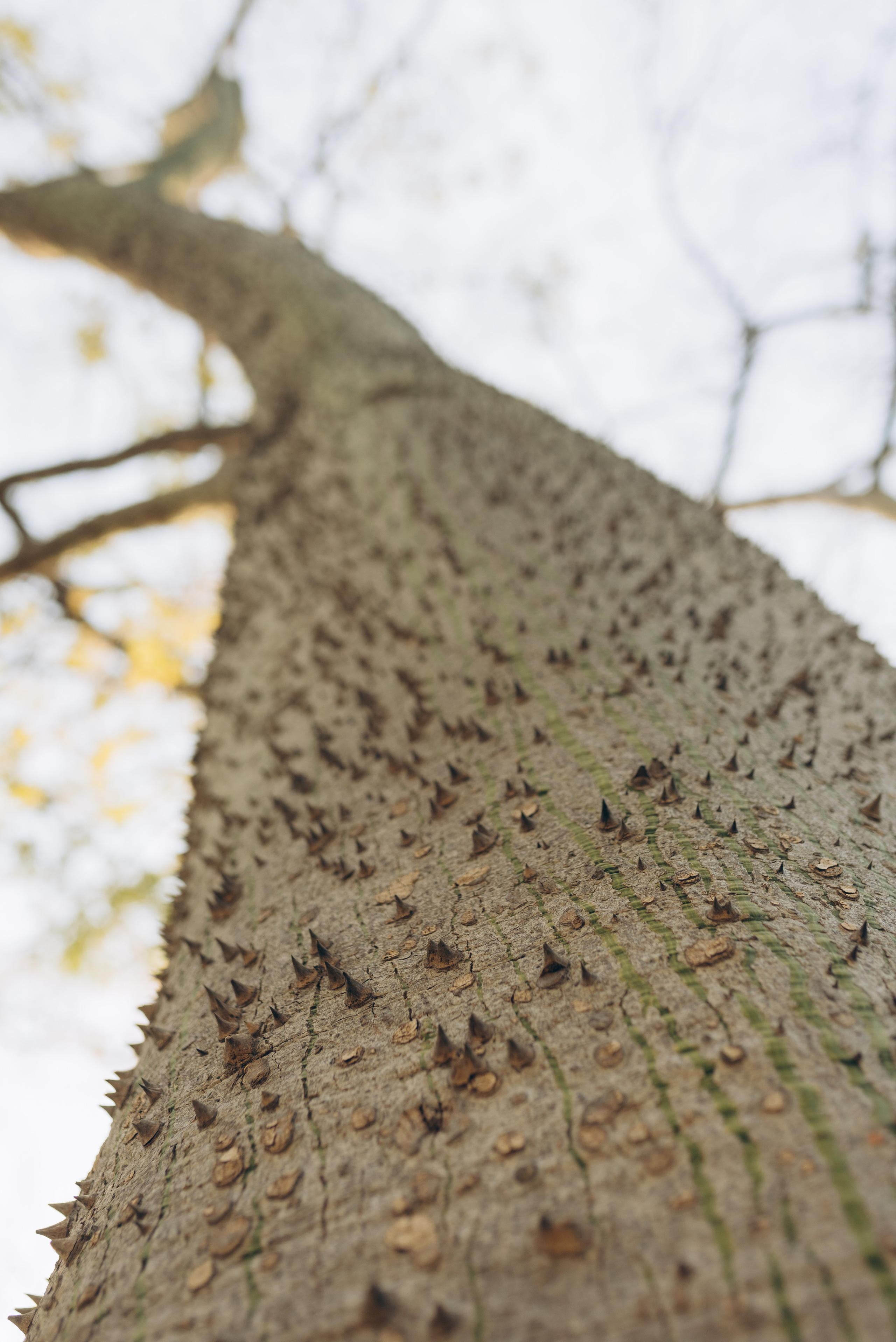 Gender Reveal Party. Татьяна Малышева — семейный фотограф и видеограф в Валенсии, Испания