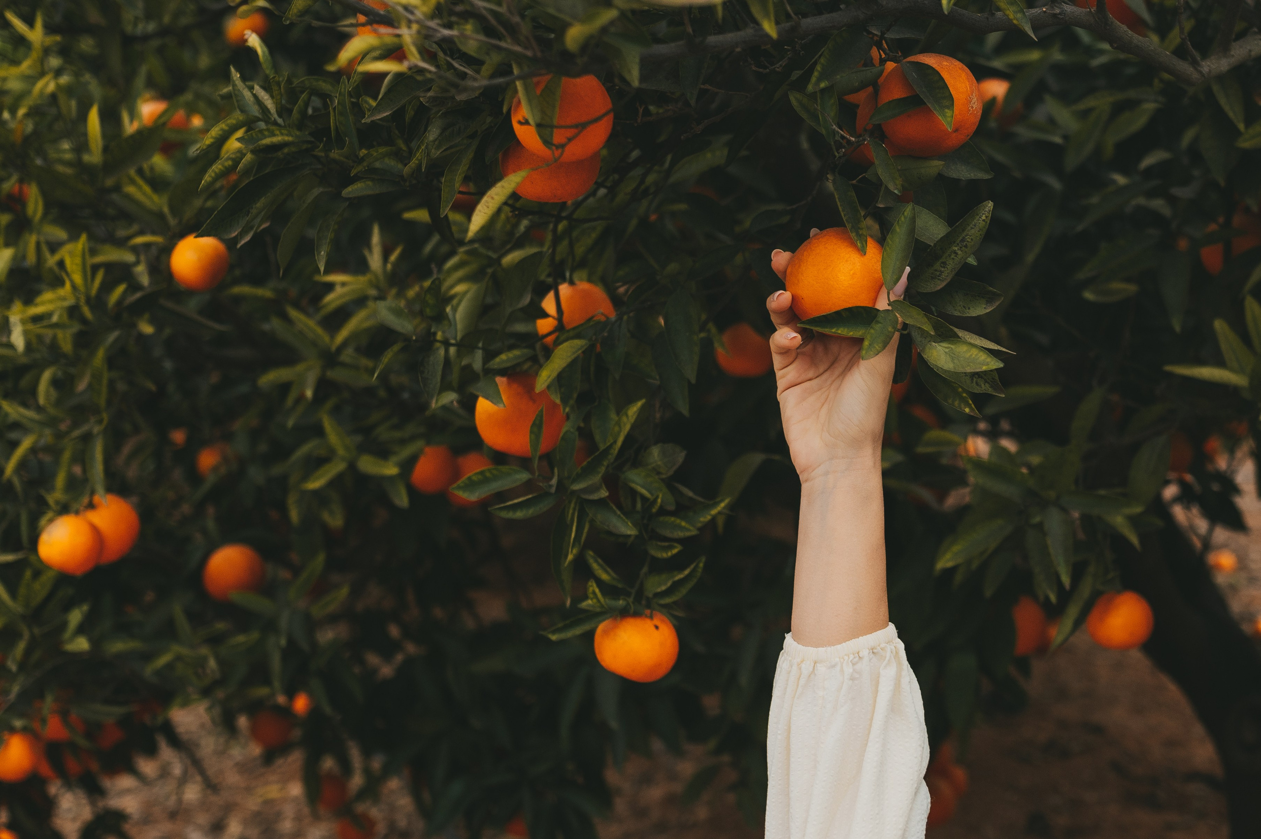 Anna & Eugene. Тетяна Малишева - сімейний фотограф і відеограф у Валенсії, Іспанія