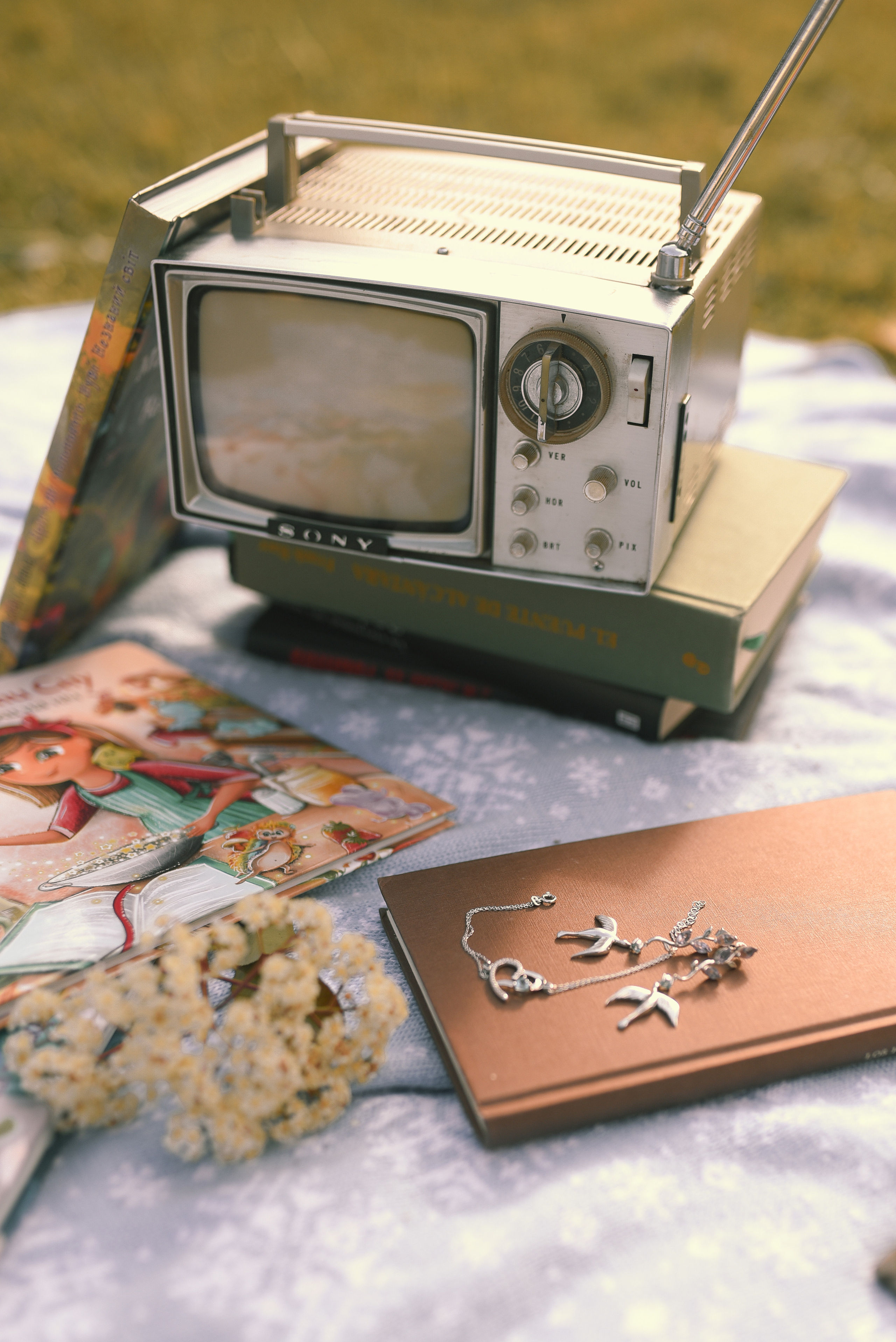 Anna and Noovie. Татьяна Малышева — семейный фотограф и видеограф в Валенсии, Испания