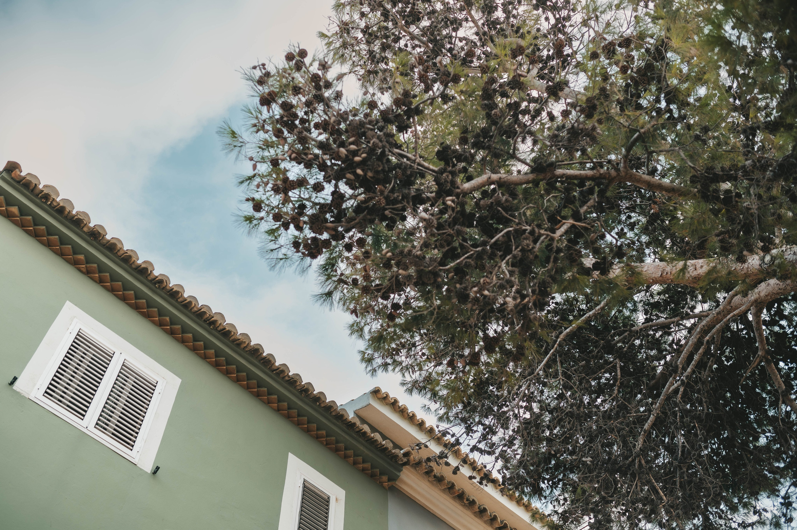 Eugeniy, Oleksandra & Sofia. Tatiana Malysheva — lifestyle fotógrafa y videógrafa en Valencia, España