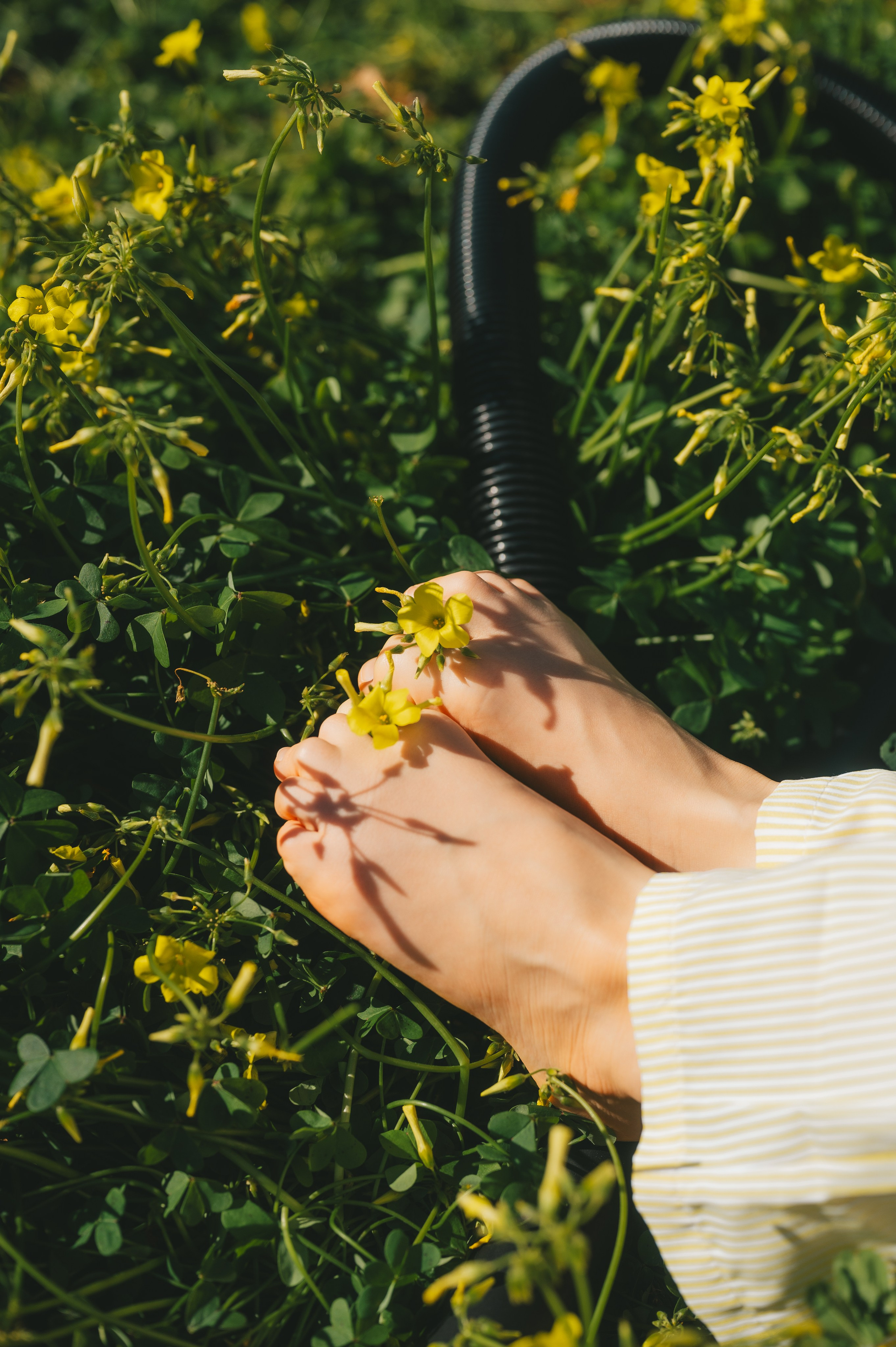 Sunshine Catcher. Tatiana Malysheva — lifestyle fotógrafa y videógrafa en Valencia, España