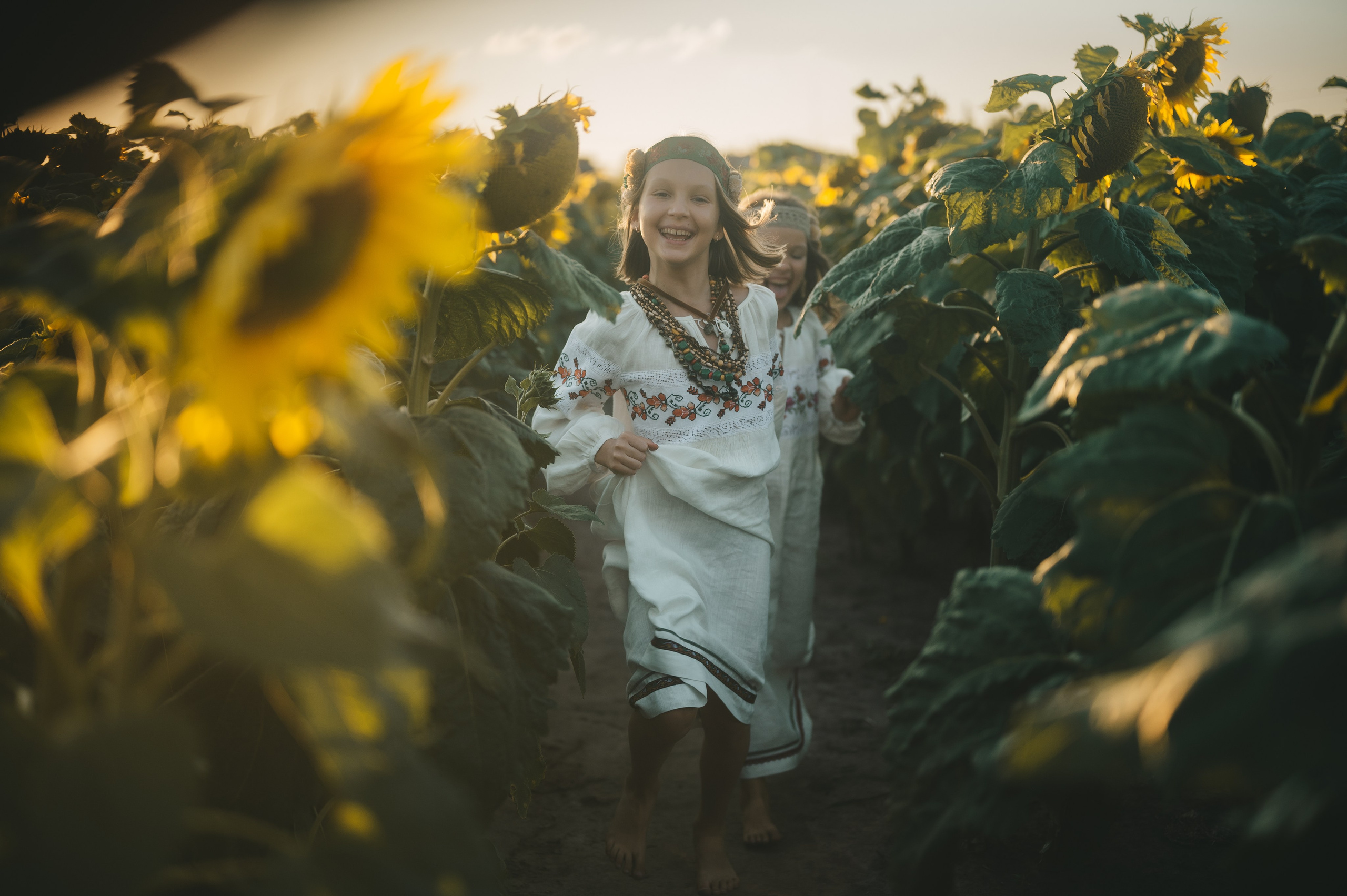 Sunflower field. Татьяна Малышева — семейный фотограф и видеограф в Валенсии, Испания