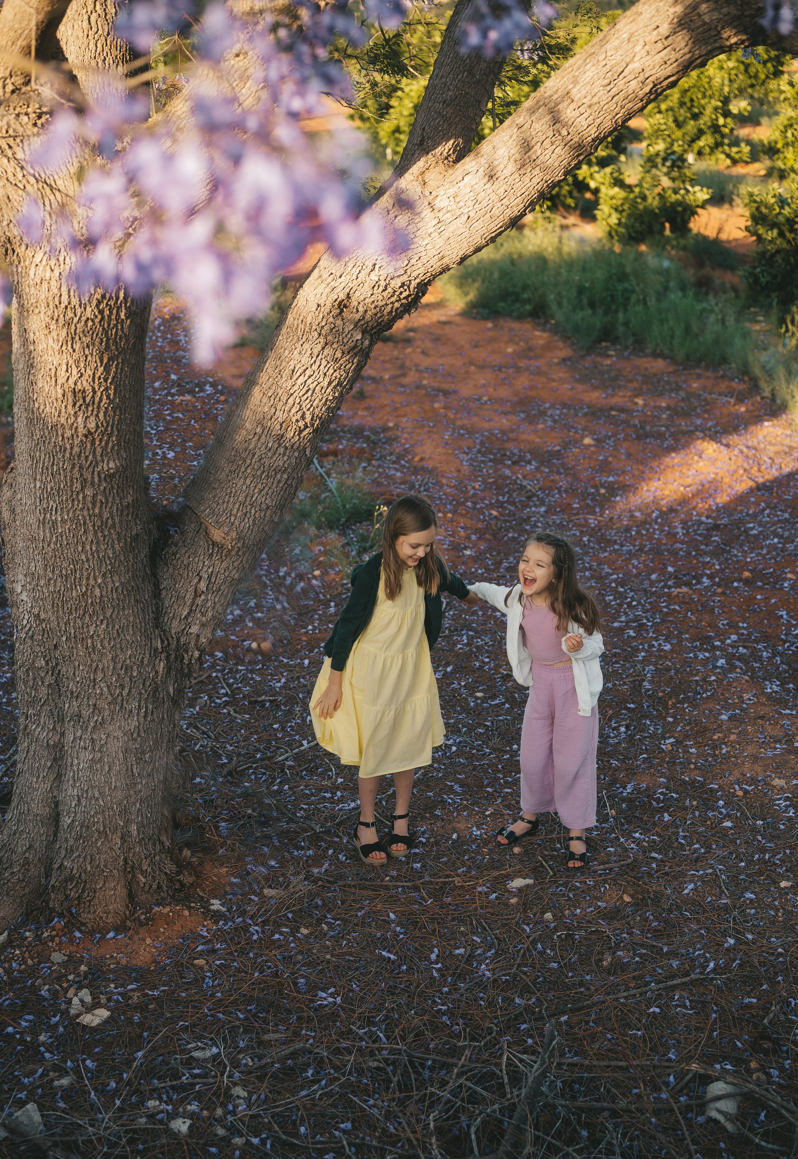 Jacaranda flowers. Tatiana Malysheva — family photographer and videographer in Valencia, Spain