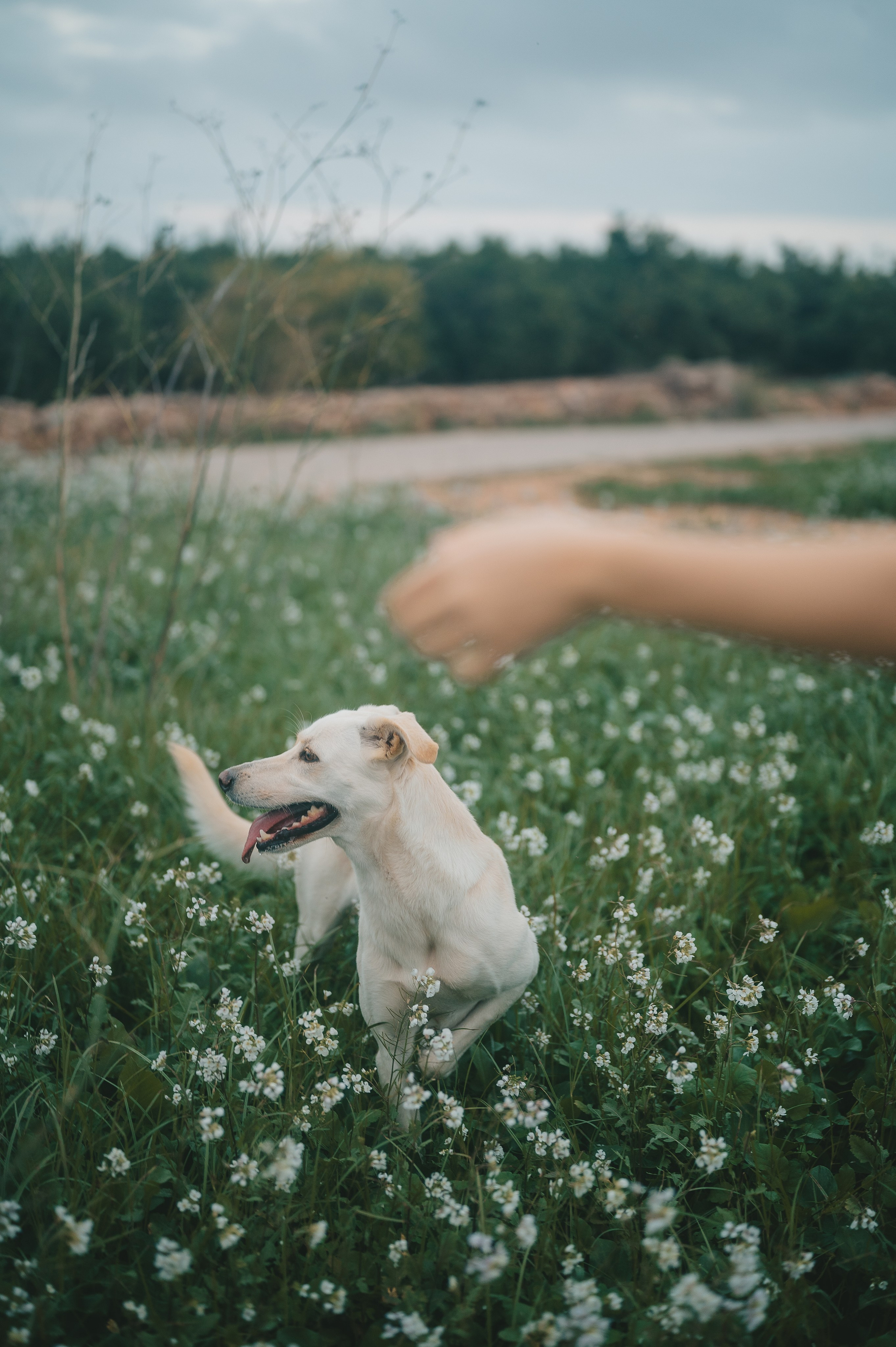 Little fairytail. Tatiana Malysheva — lifestyle fotógrafa y videógrafa en Valencia, España