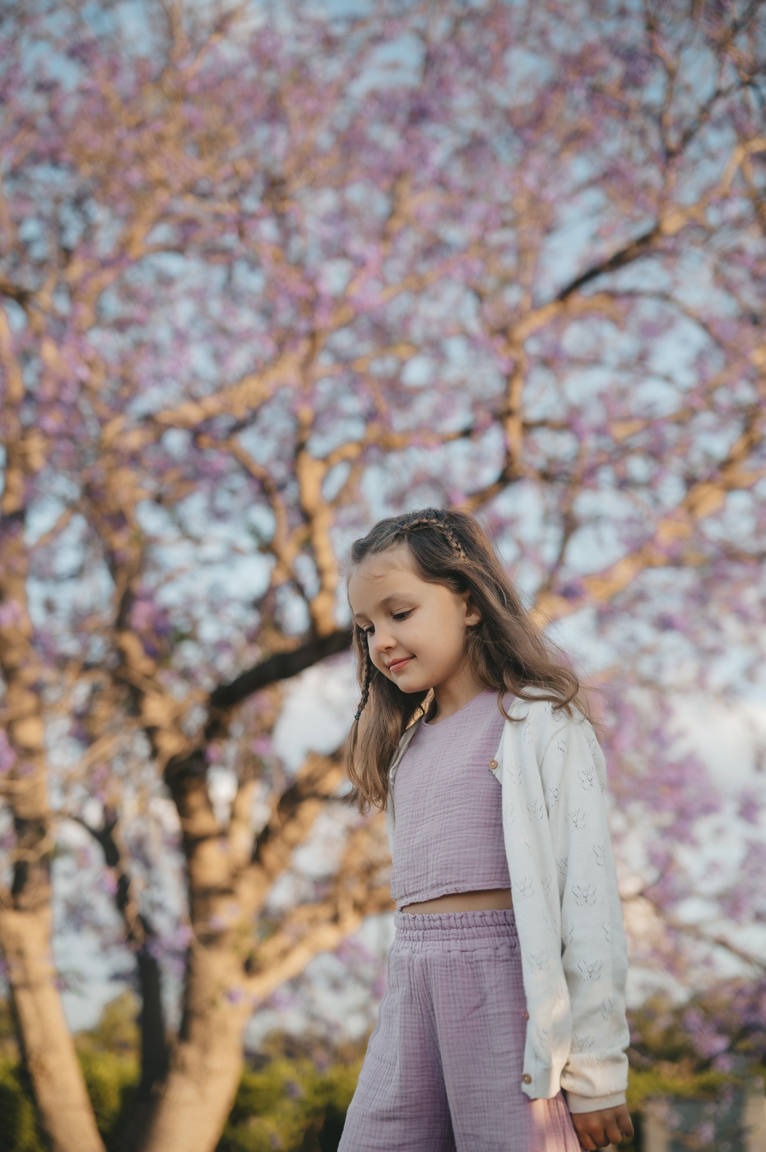 Jacaranda flowers. Tatiana Malysheva — family photographer and videographer in Valencia, Spain