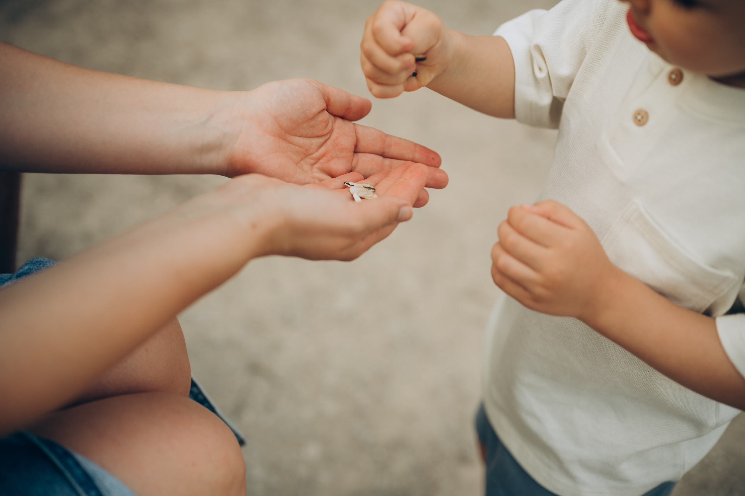 Ivan, Marina, Liza & Tima. Тетяна Малишева - сімейний фотограф і відеограф у Валенсії, Іспанія