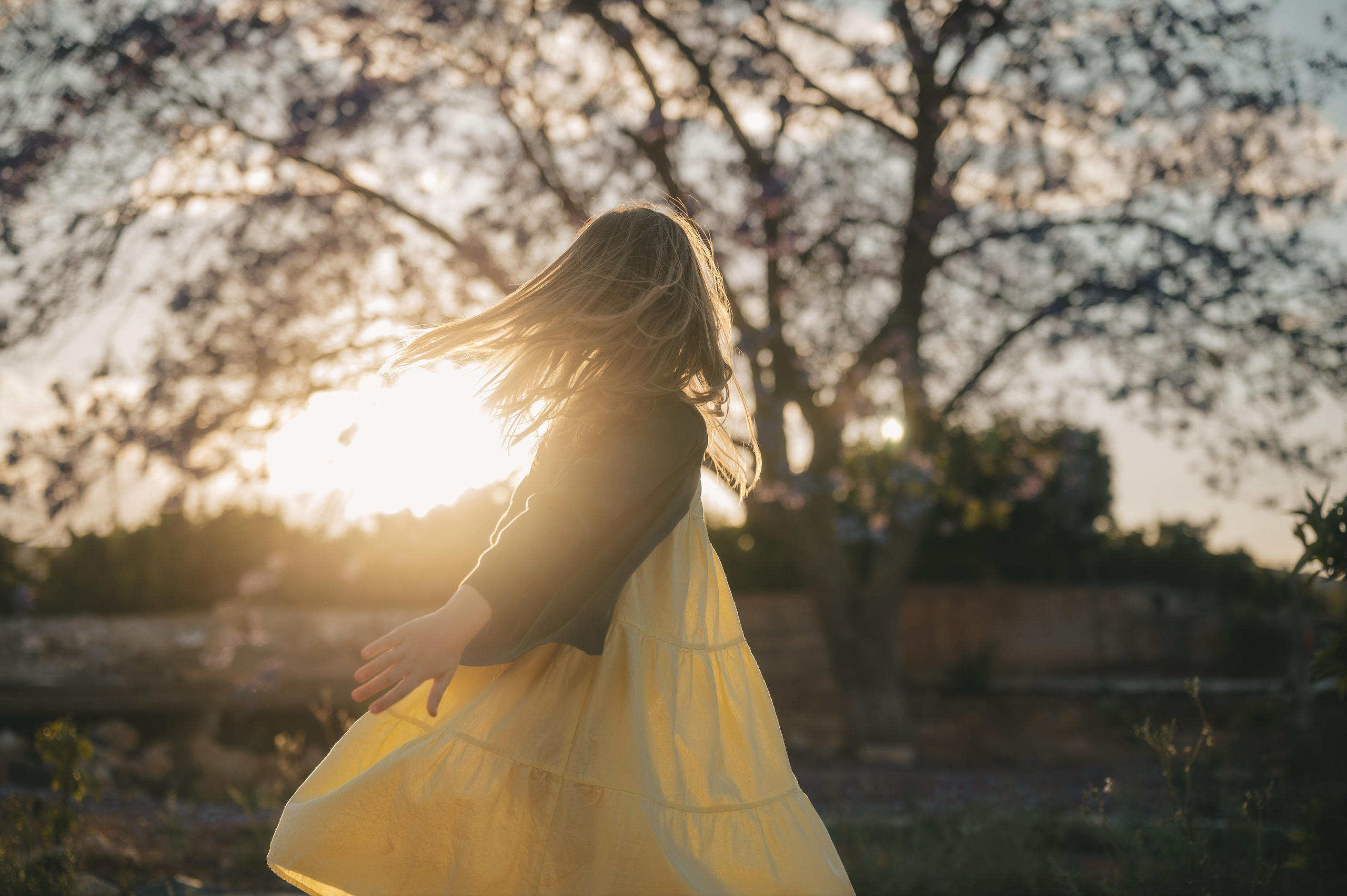 Jacaranda flowers. Tatiana Malysheva — family photographer and videographer in Valencia, Spain