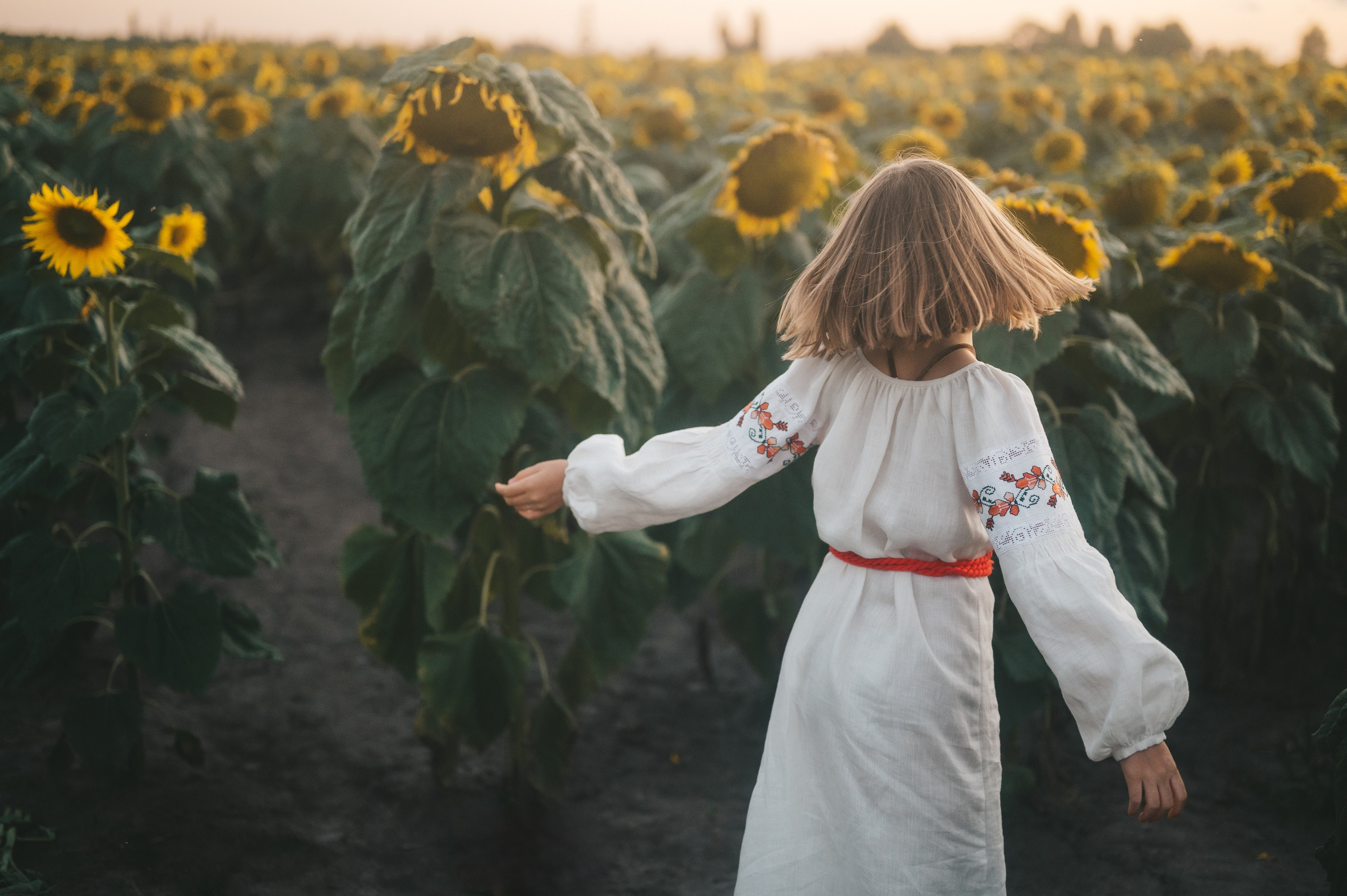 Sunflower field. Татьяна Малышева — семейный фотограф и видеограф в Валенсии, Испания