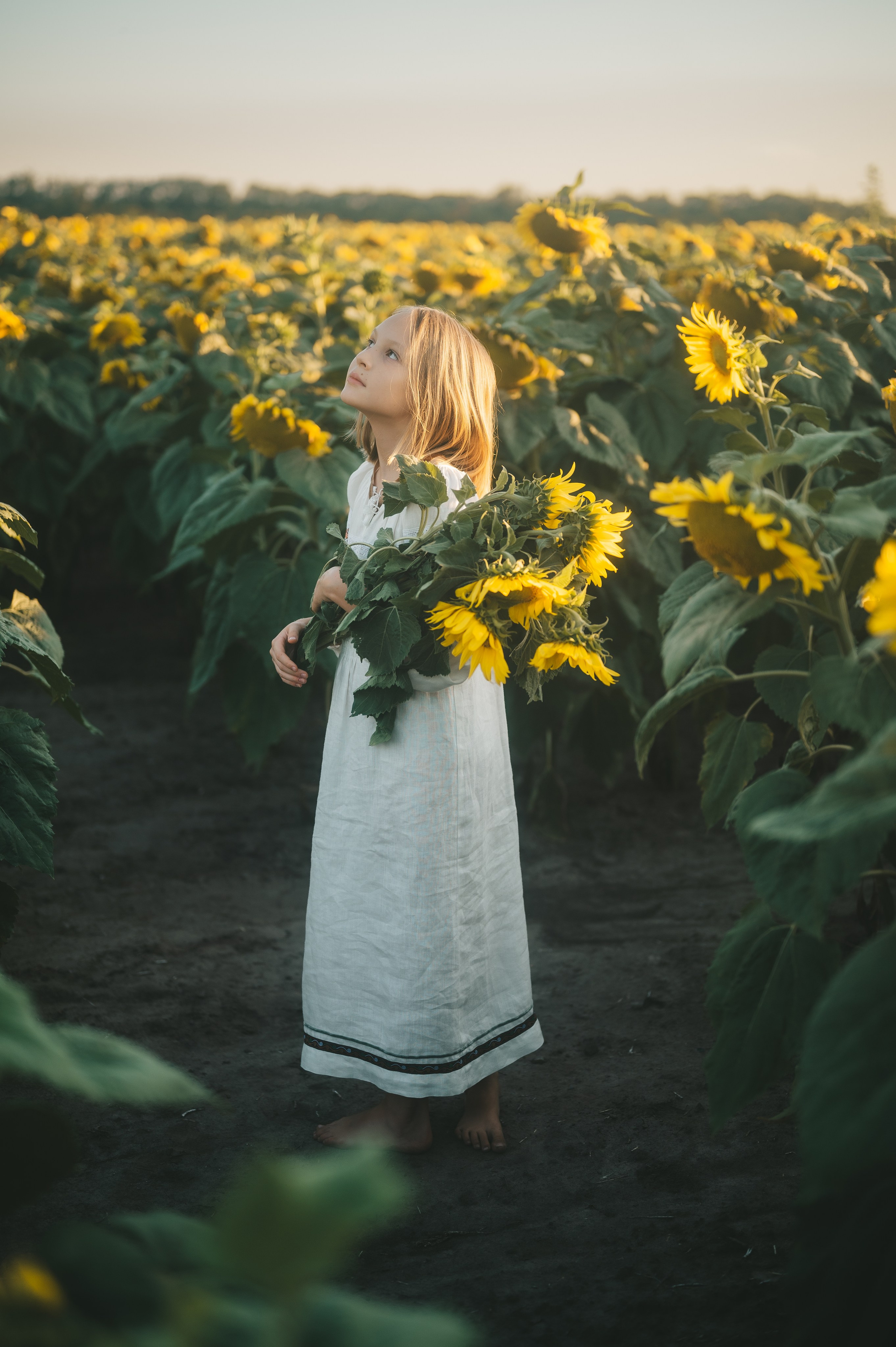 Sunflower field. Татьяна Малышева — семейный фотограф и видеограф в Валенсии, Испания
