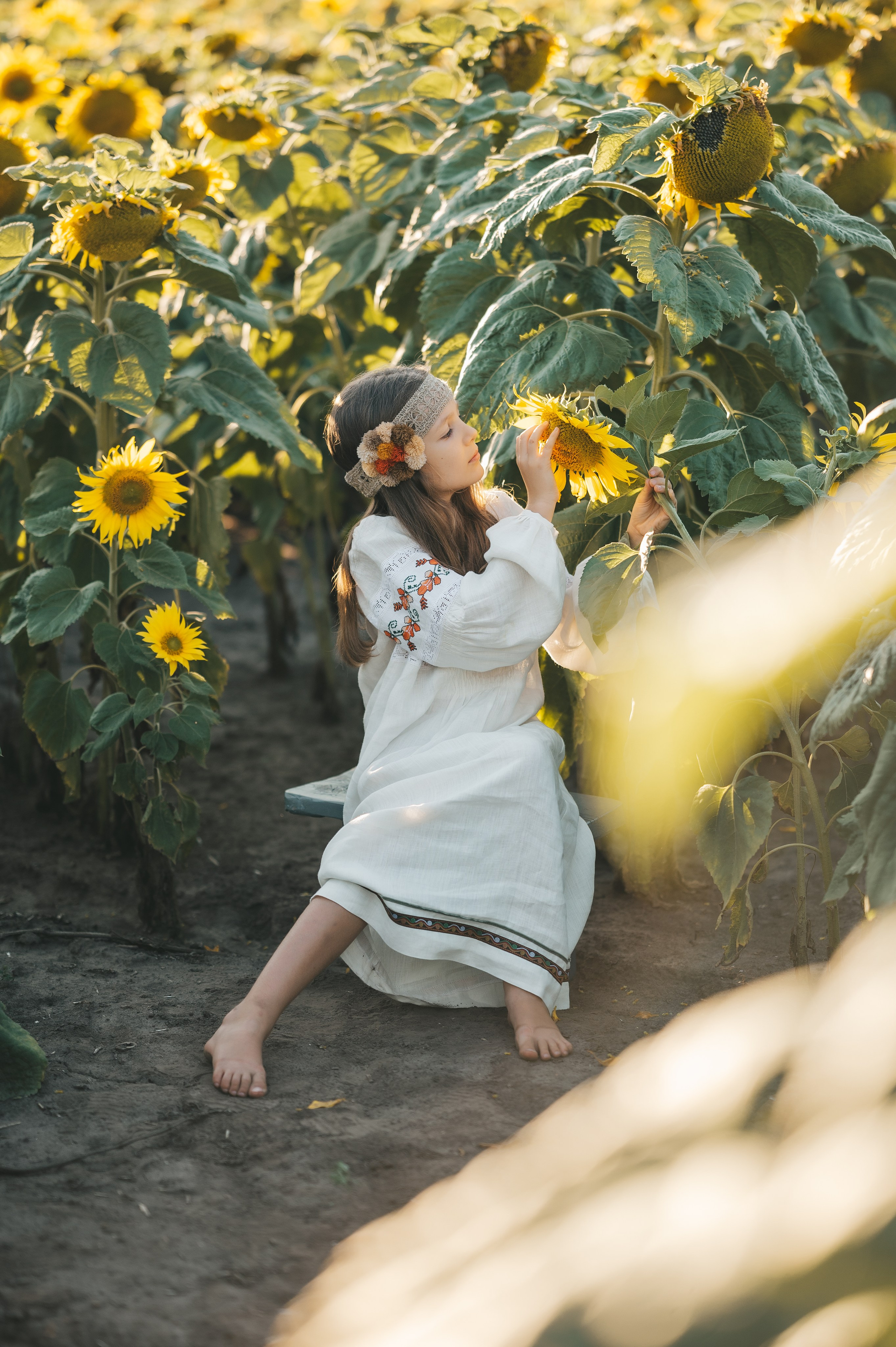 Sunflower field. Татьяна Малышева — семейный фотограф и видеограф в Валенсии, Испания